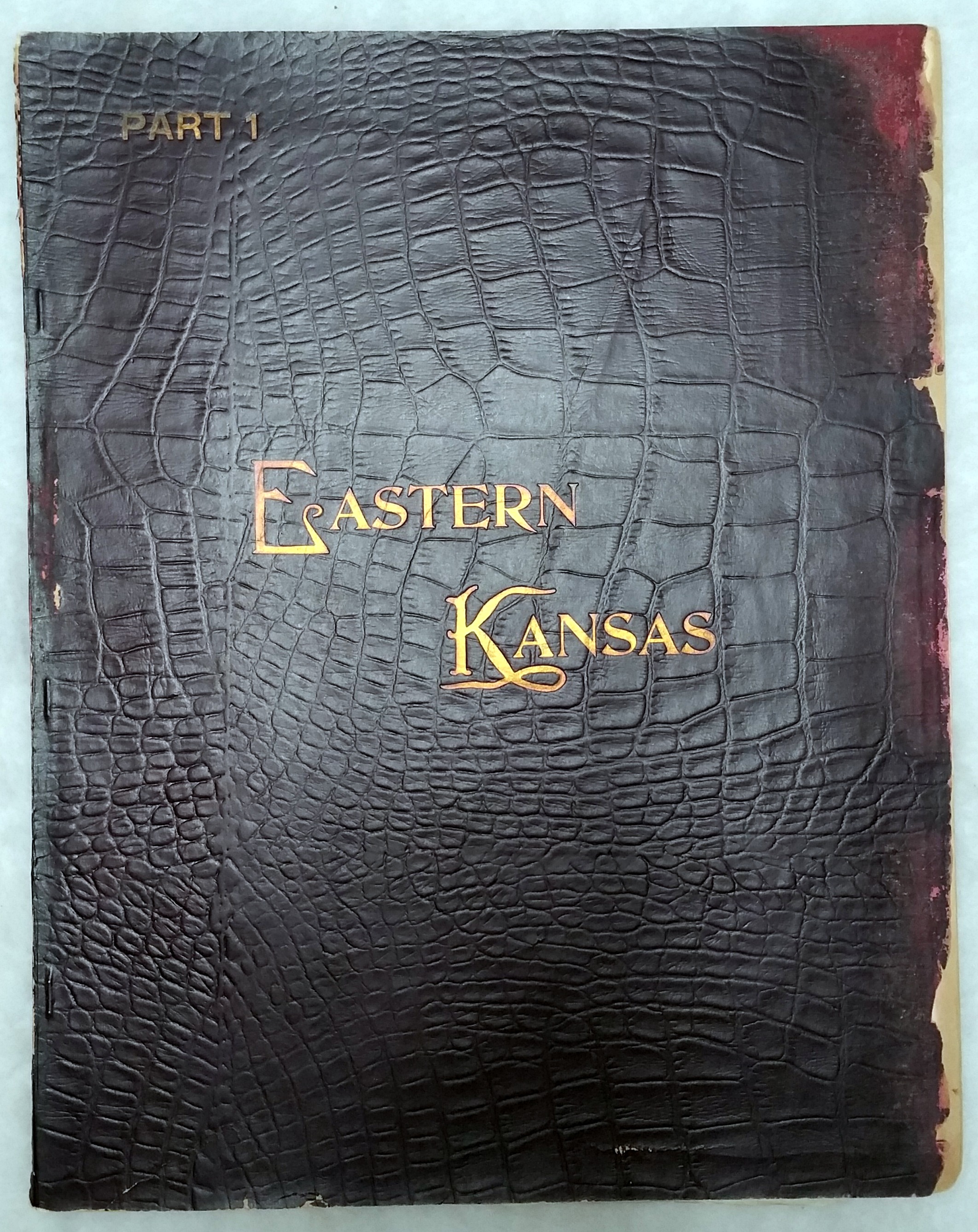 Image for Art Work on Eastern Kansas, Part 1