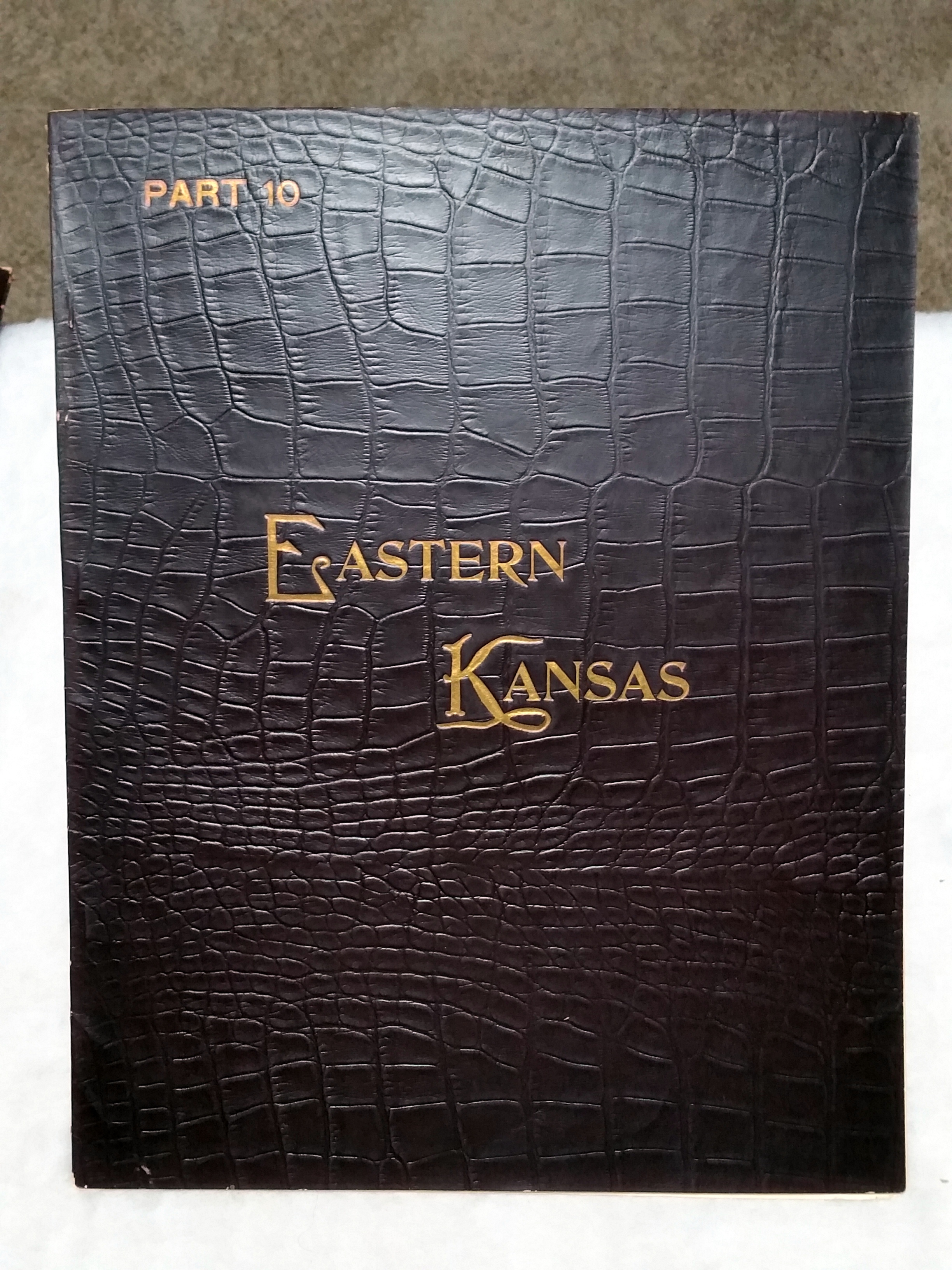 Image for Art Work on Eastern Kansas, Part 10