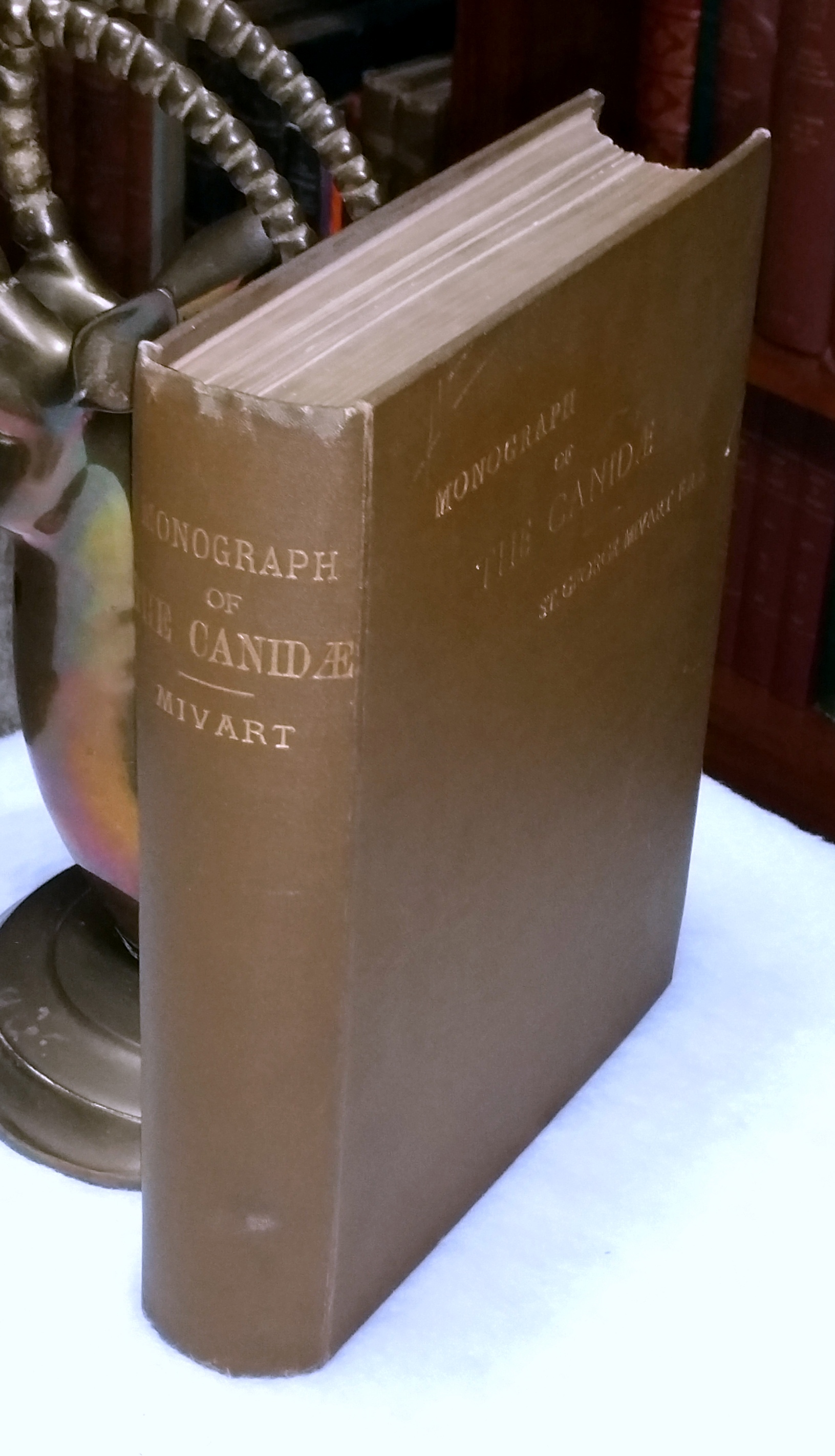 Image for Dogs, Jackals, Wolves, and Foxes: A Monograph of the Canidae