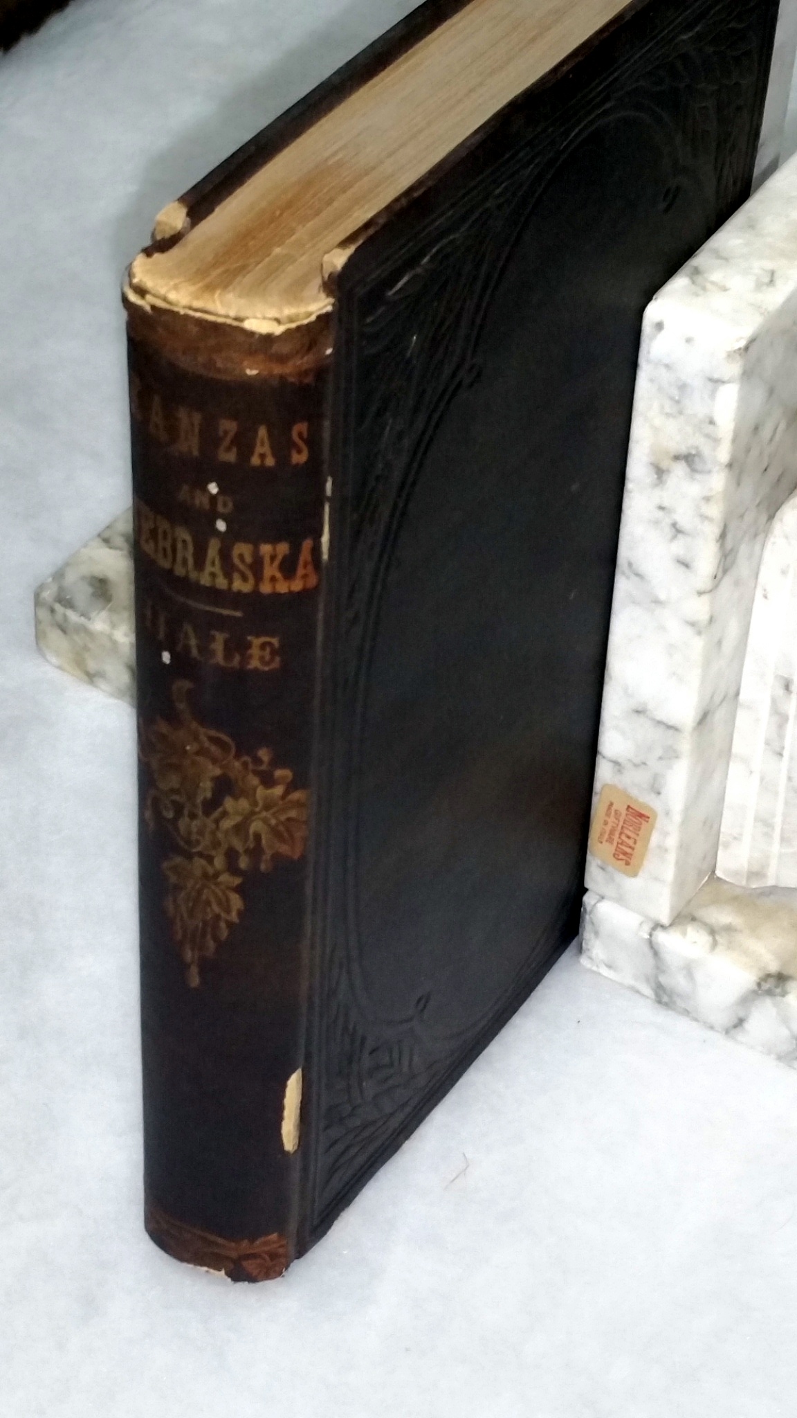 Image for Kanzas and Nebraska: The History, Geographical and Physical Characteristics, and Political Position of Those Territories; An Account of the Emigrant Aid Companies, and Directions to Emigrants