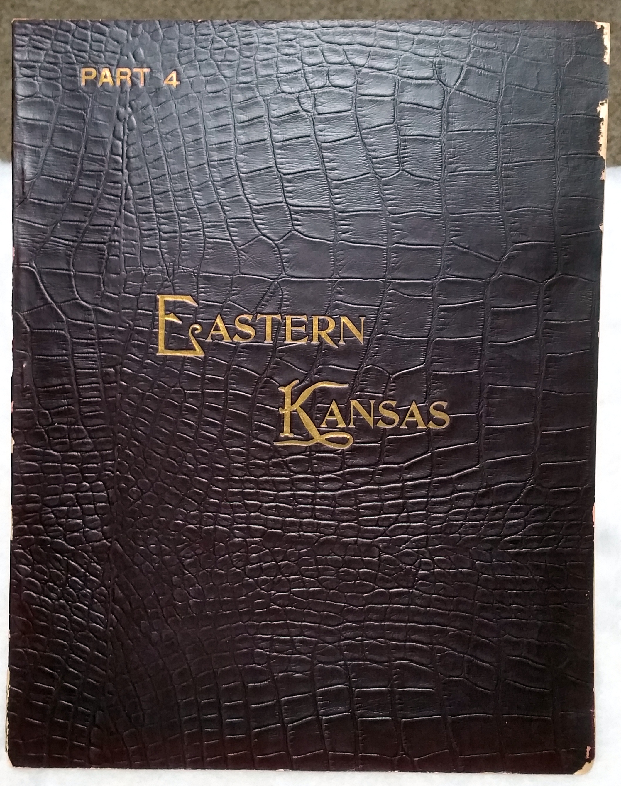 Image for Art Work on Eastern Kansas, Part 4