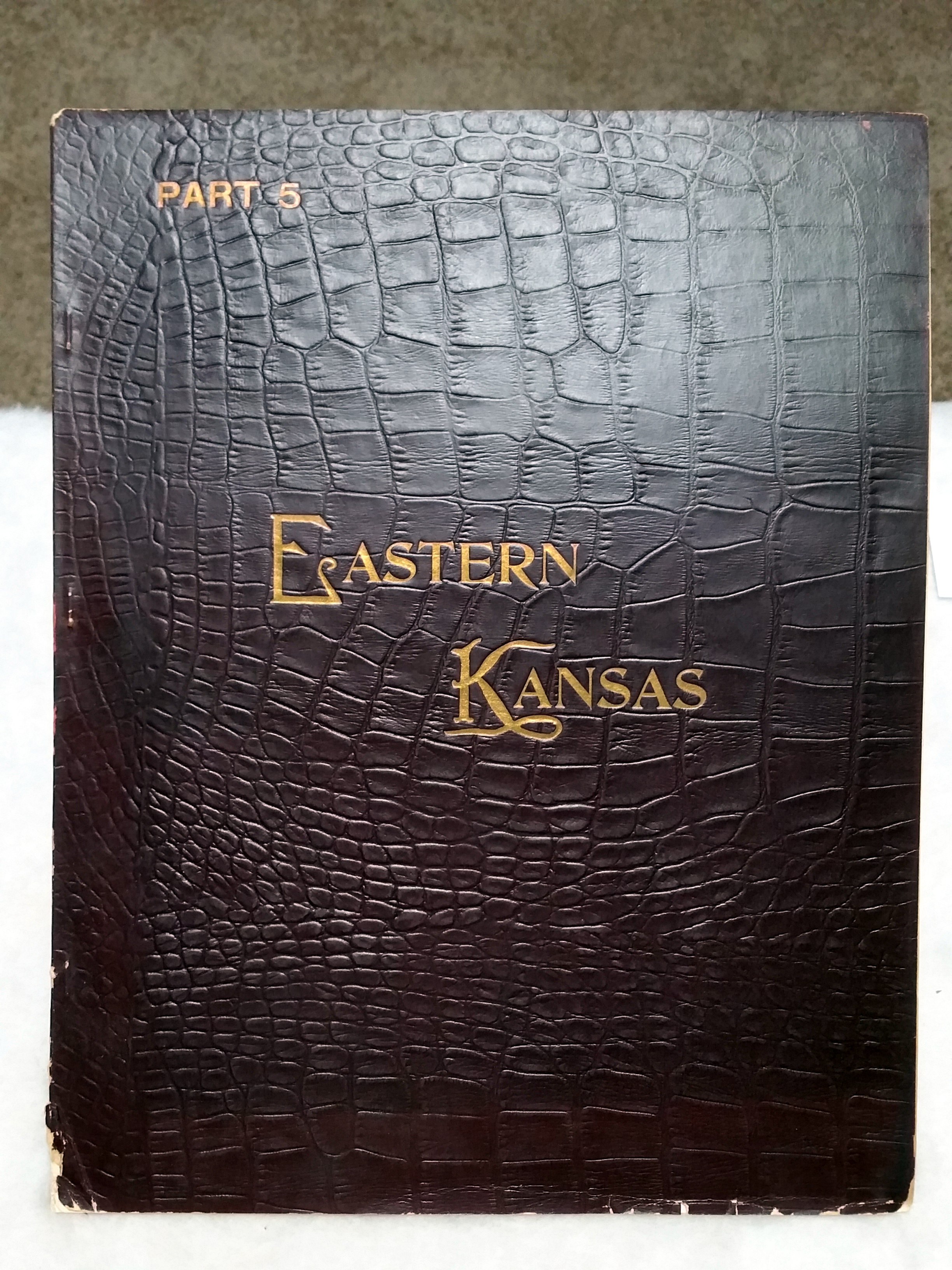 Image for Art Work on Eastern Kansas, Part 5