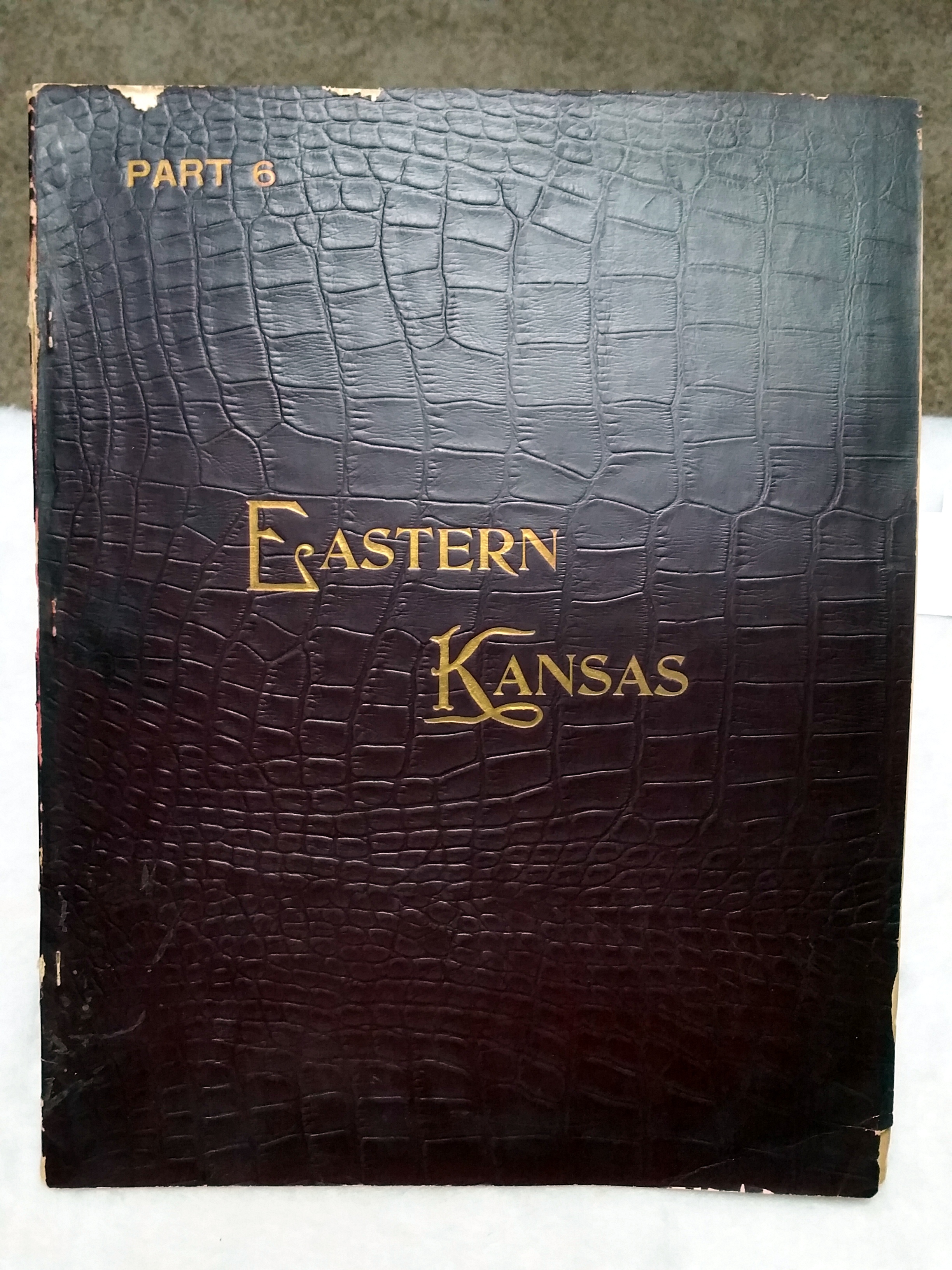 Image for Art Work on Eastern Kansas, Part 6