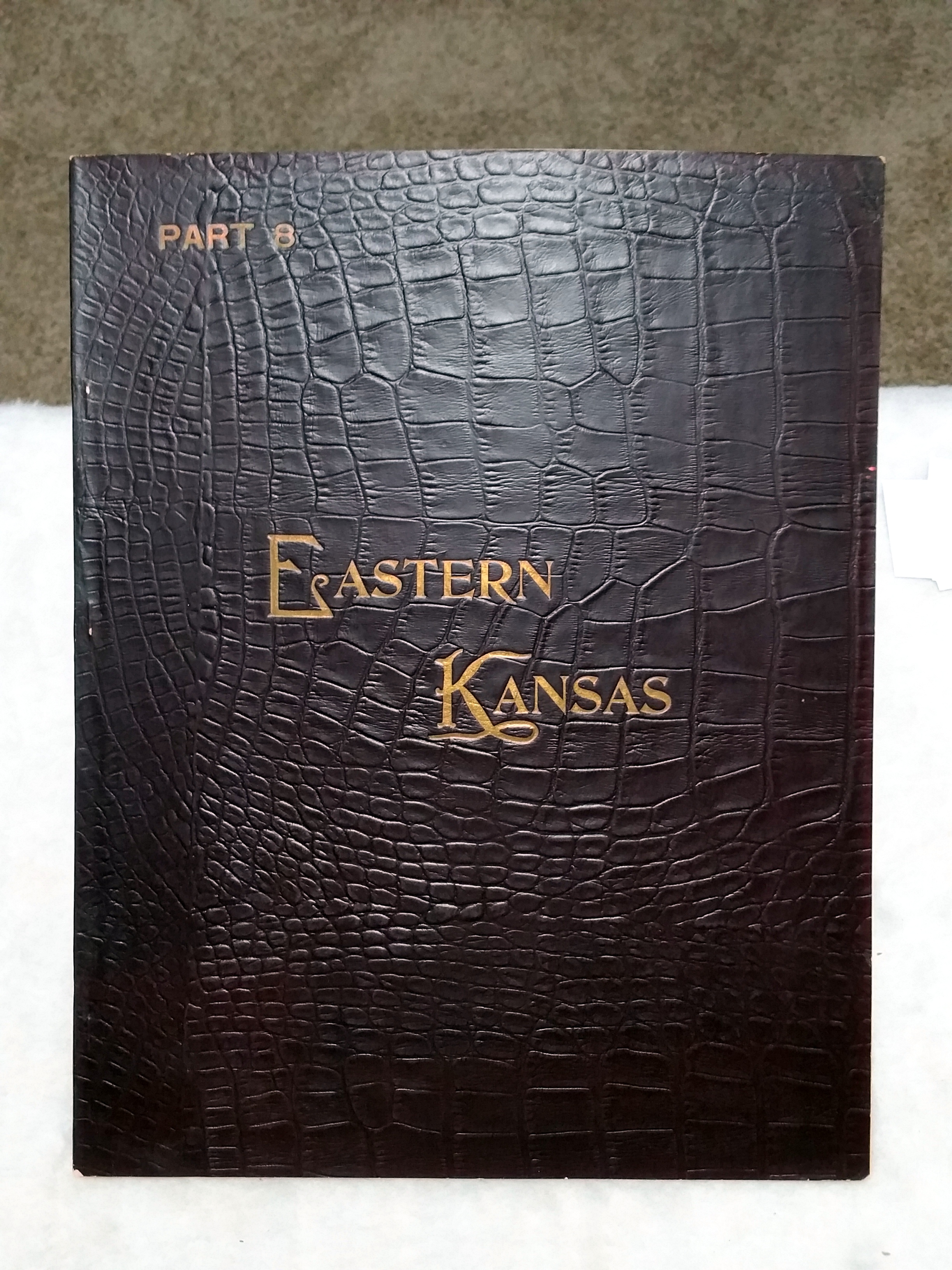 Image for Art Work on Eastern Kansas, Part 8