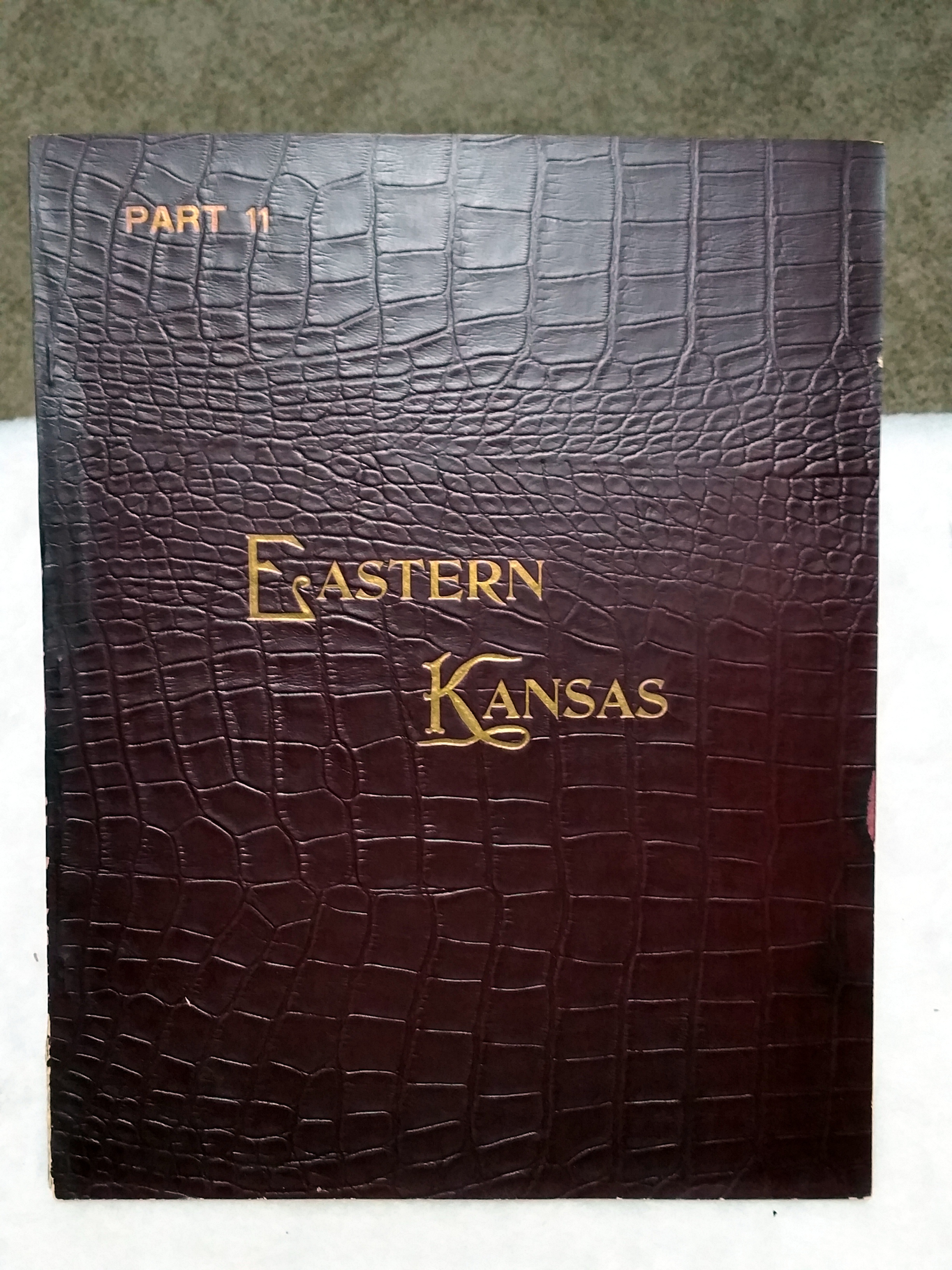 Image for Art Work on Eastern Kansas, Part 11