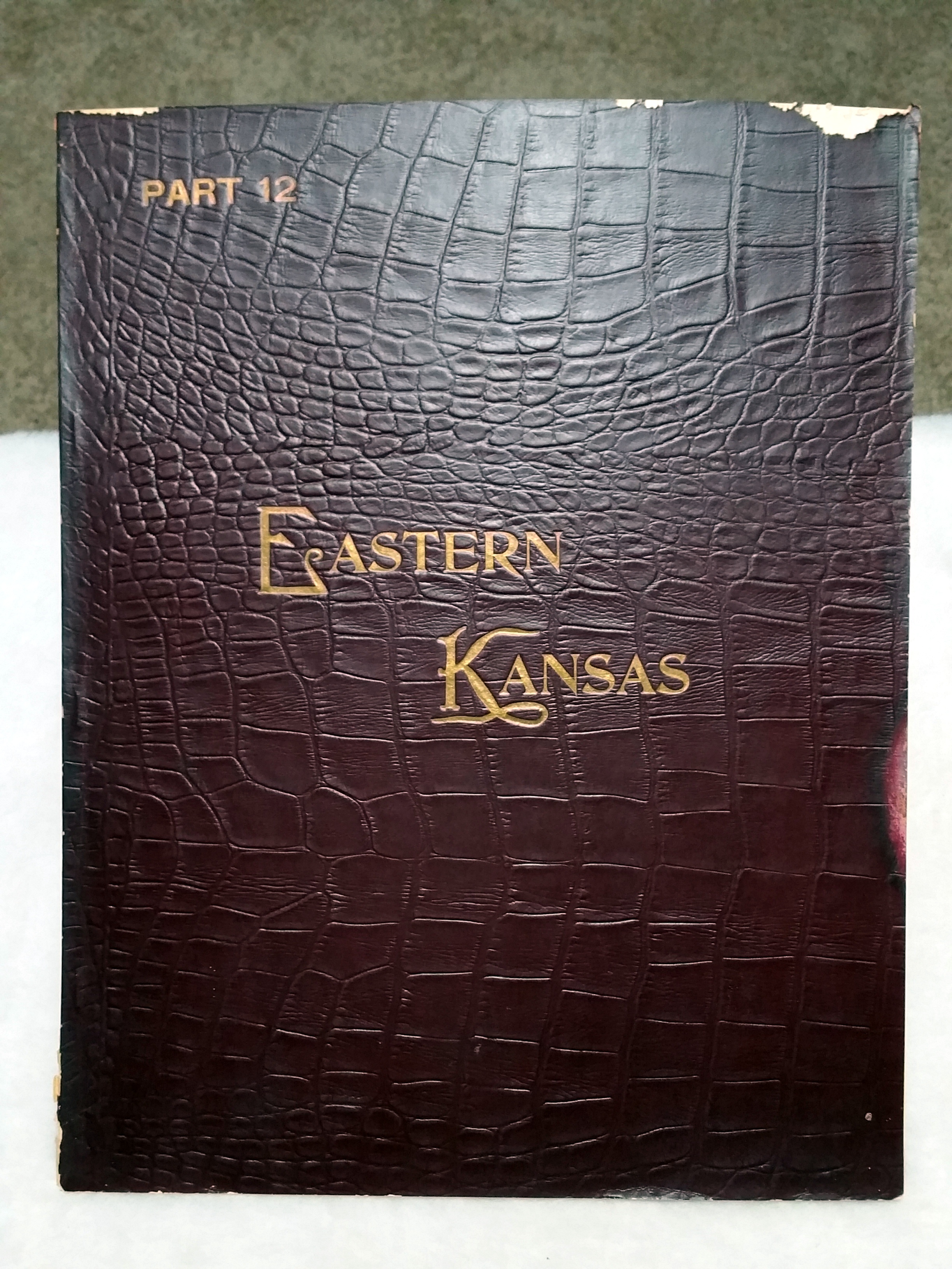 Image for Art Work on Eastern Kansas, Part 12
