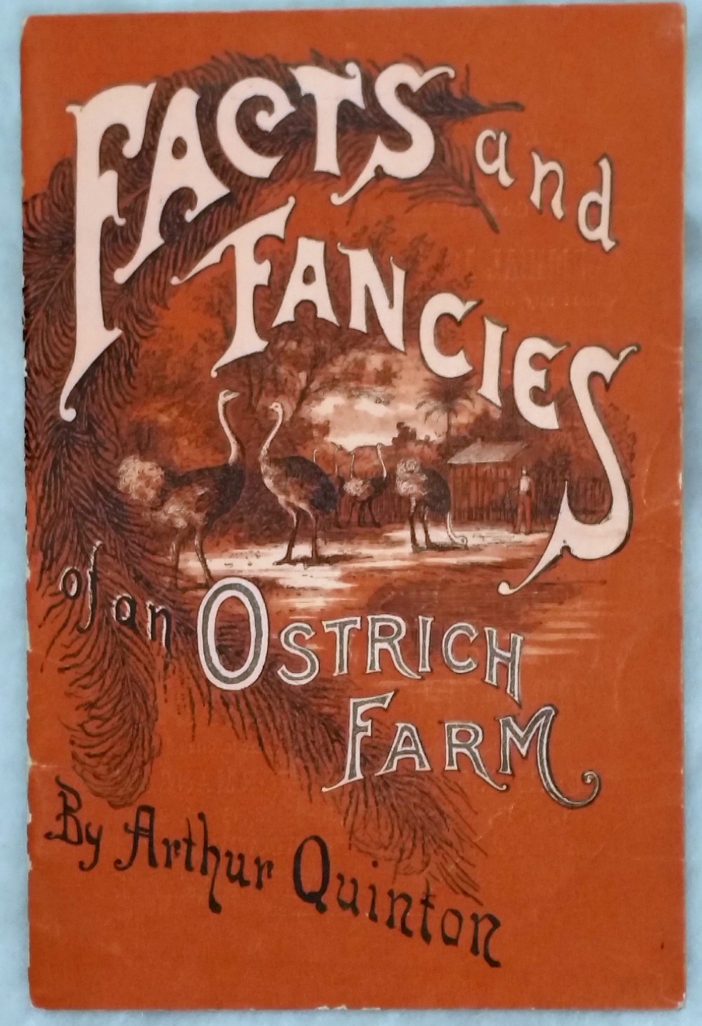 Image for Facts and Fancies of an Ostrich Farm