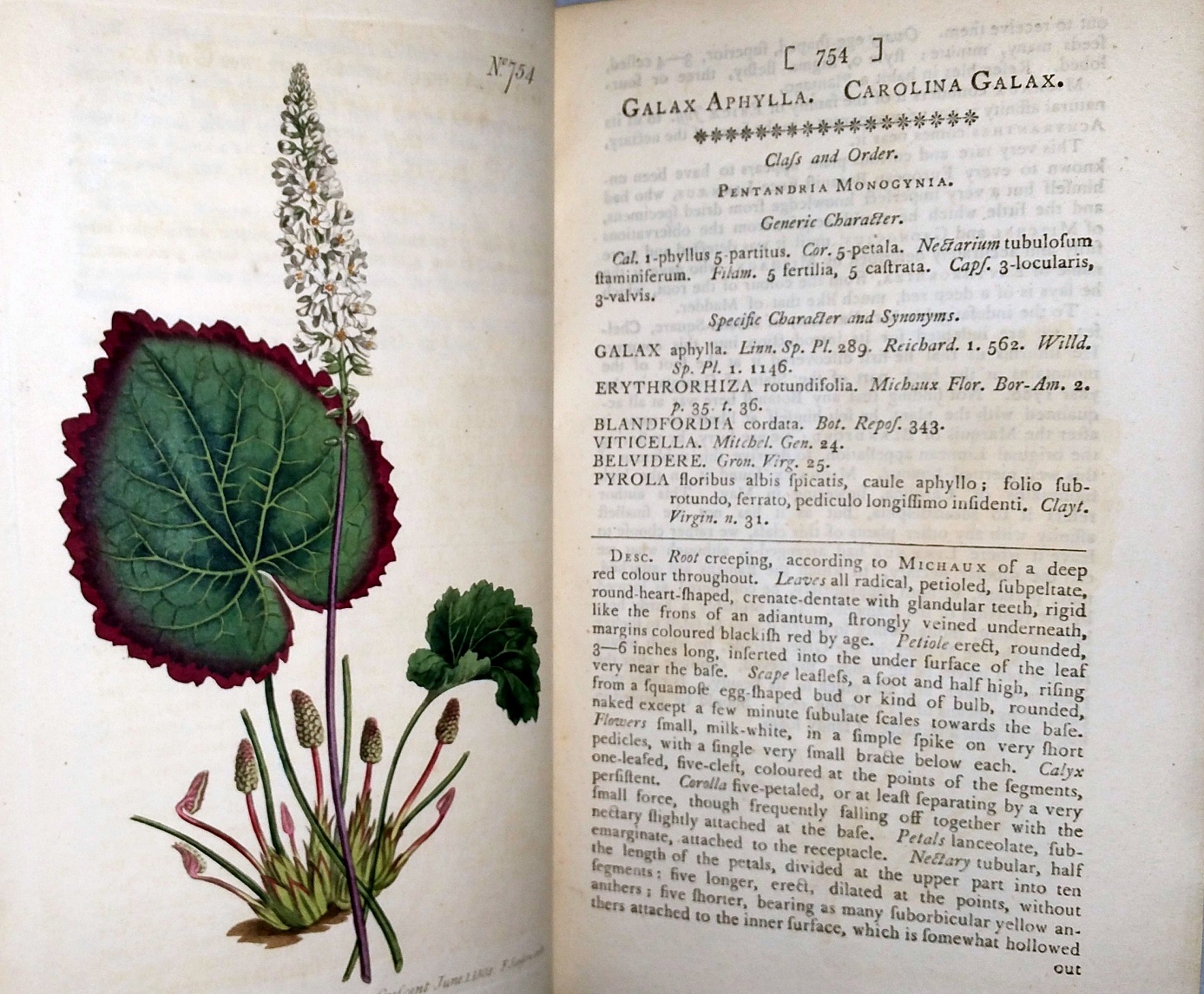 Curtis's Botanical Magazine; or, Flower-Garden Displayed.Volume XX [bound with] General Indexes to the Plants Contained in the First Twenty Volumes of the Botanical Magazine.
