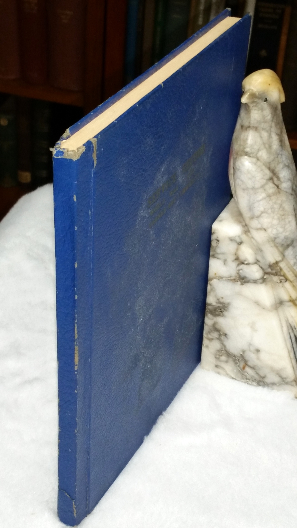 Service Record Book of Men and Women of Larned, Kansas & Community