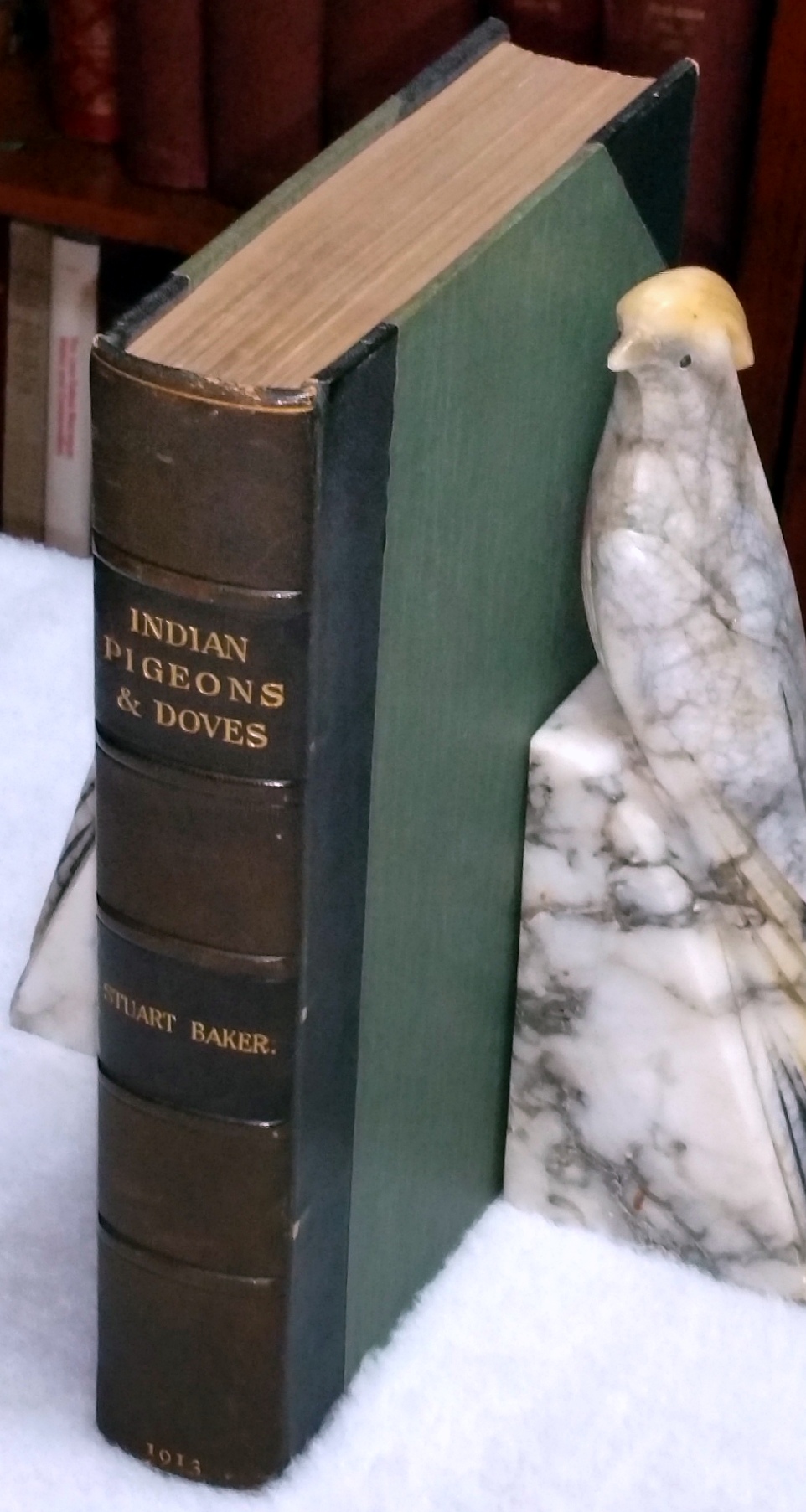 Image for Indian Pigeons and Doves