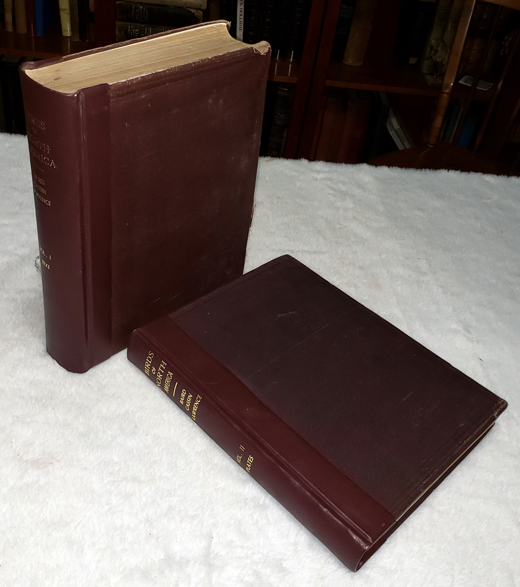 The Birds of North America; The Descriptions of Species Based Chiefly on the Collections in the Museum of the Smithsonian Institution (Two Volumes)