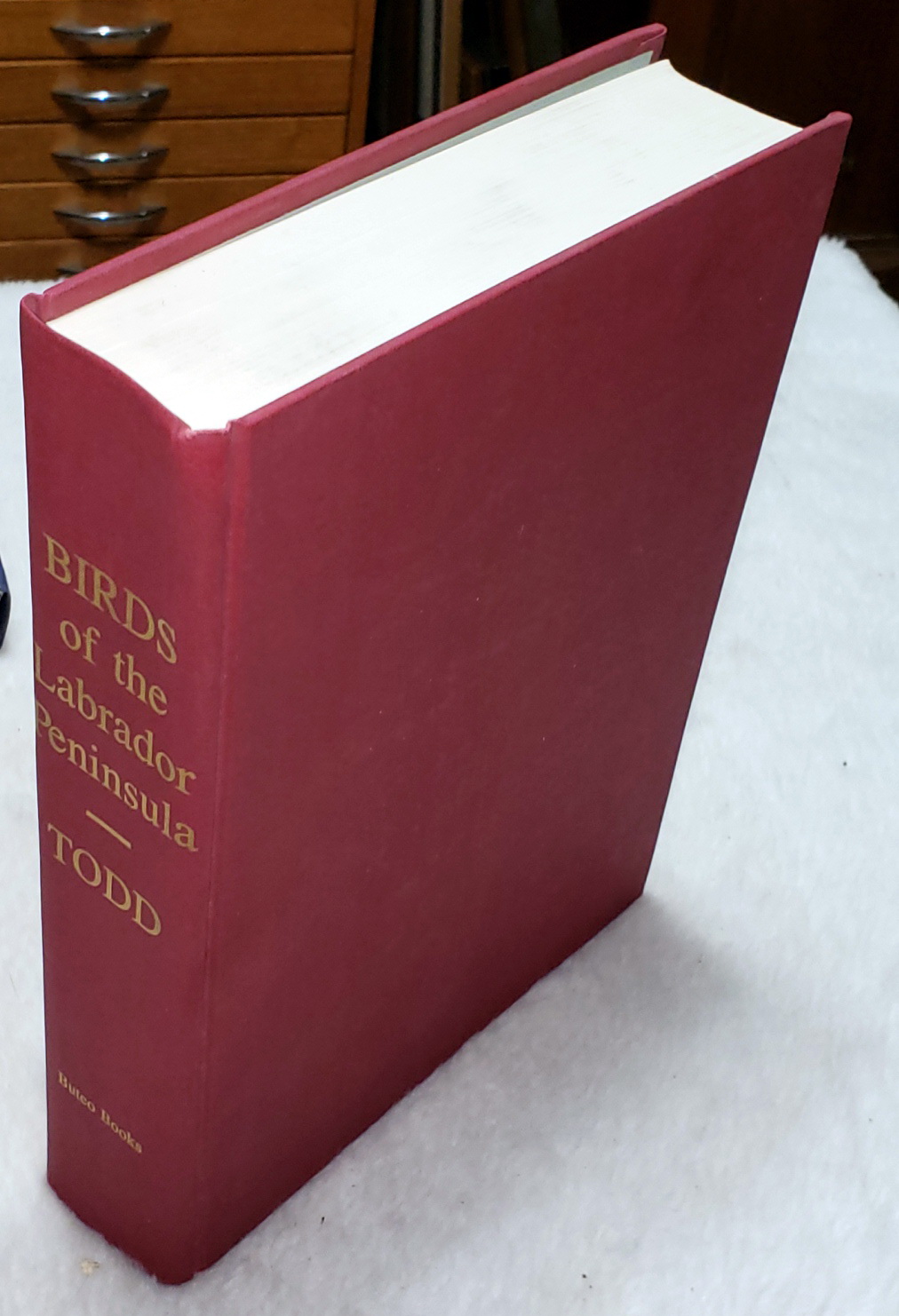 Birds of the Labrador Peninsula and Adjacent Areas