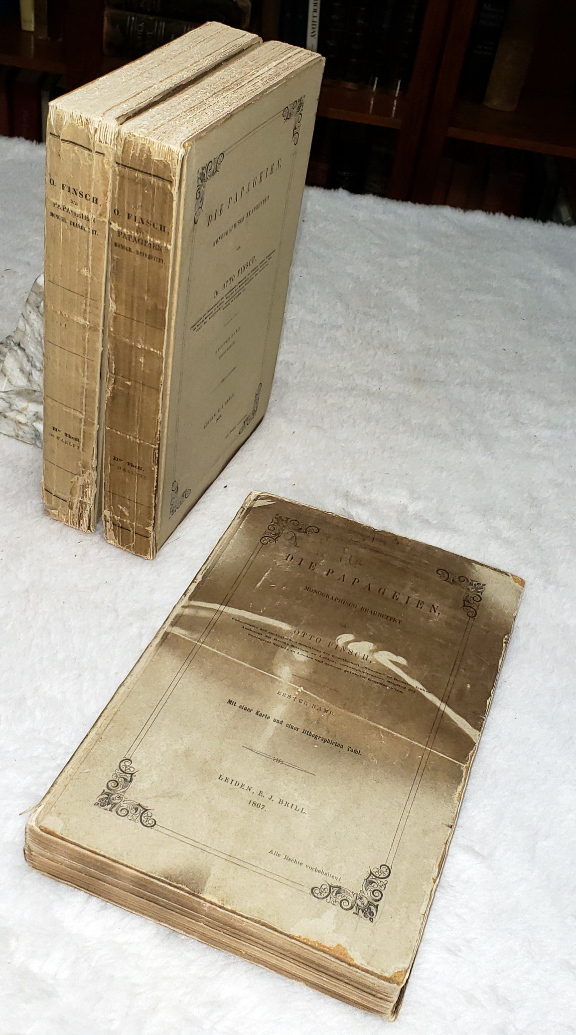 Die Papageien, Monographisch Bearbeitet (Three Volumes)