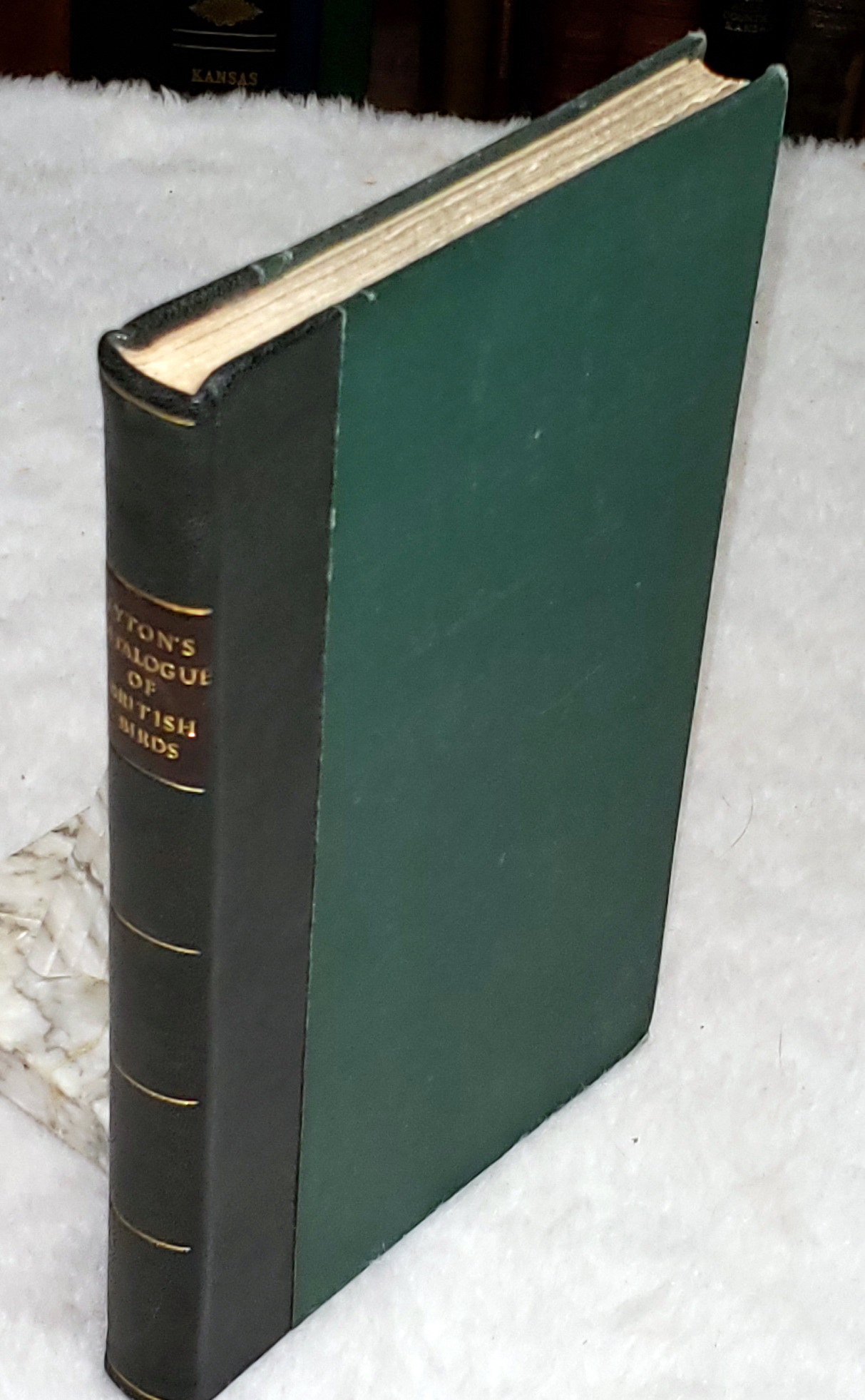 A History of the Rarer British Birds [with] A Catalogue of British Birds