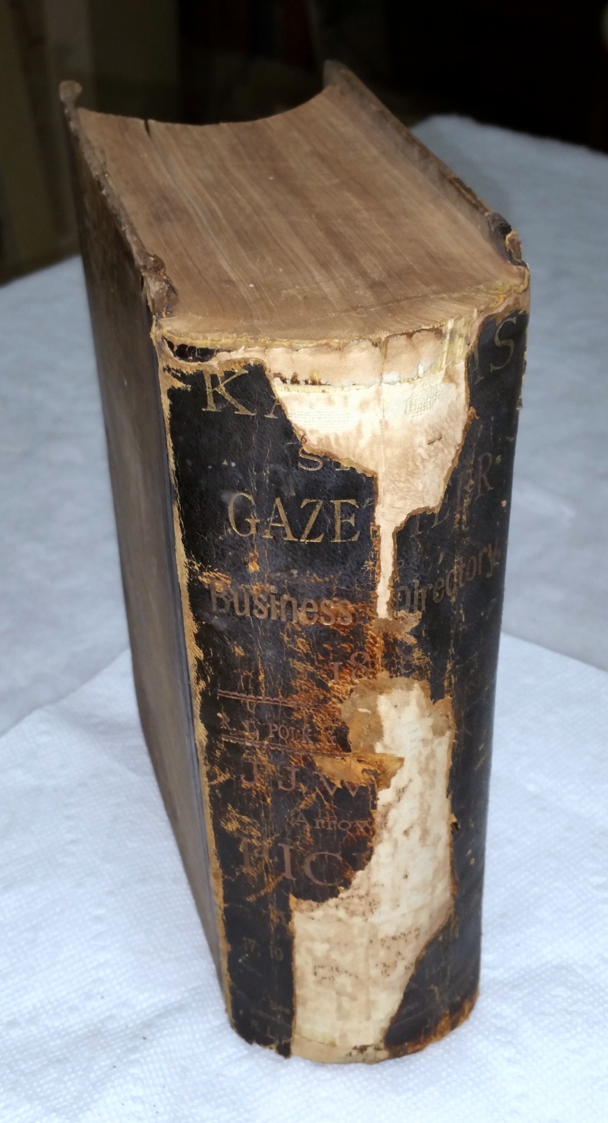 Image for Kansas State Gazetteer and Business Directory Including A Complete Business Directory of Kansas City, MO., 1878. Volume I