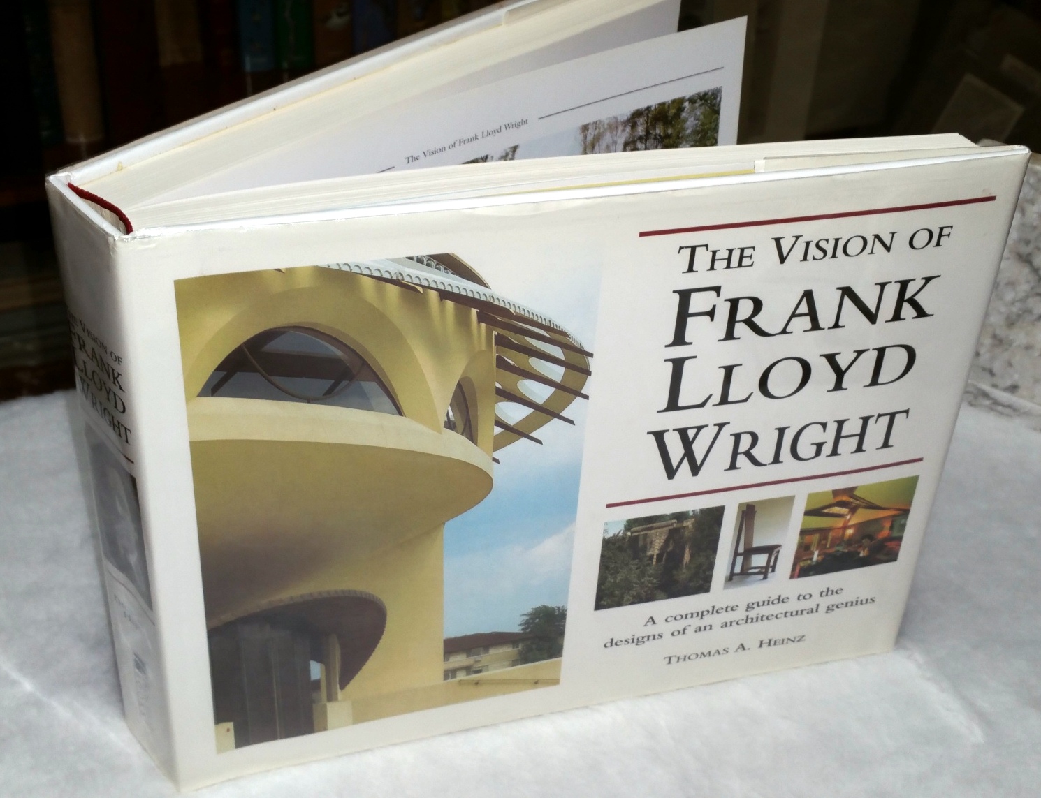 Image for The Vision of Frank Lloyd Wright