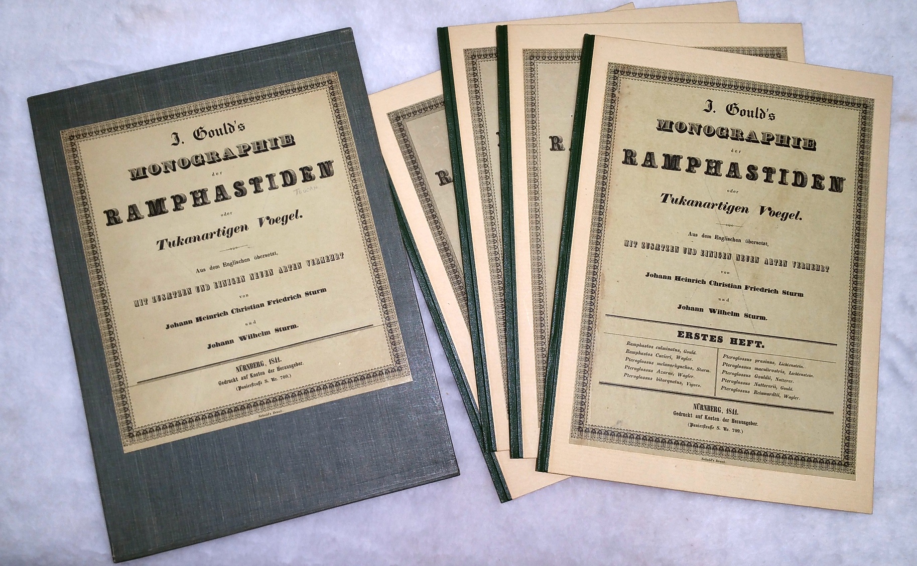 Image for J. Gould's Monographie Der Ramphastiden Oder Tukanartigen Voegel (Four Parts, Plus Prospectus)