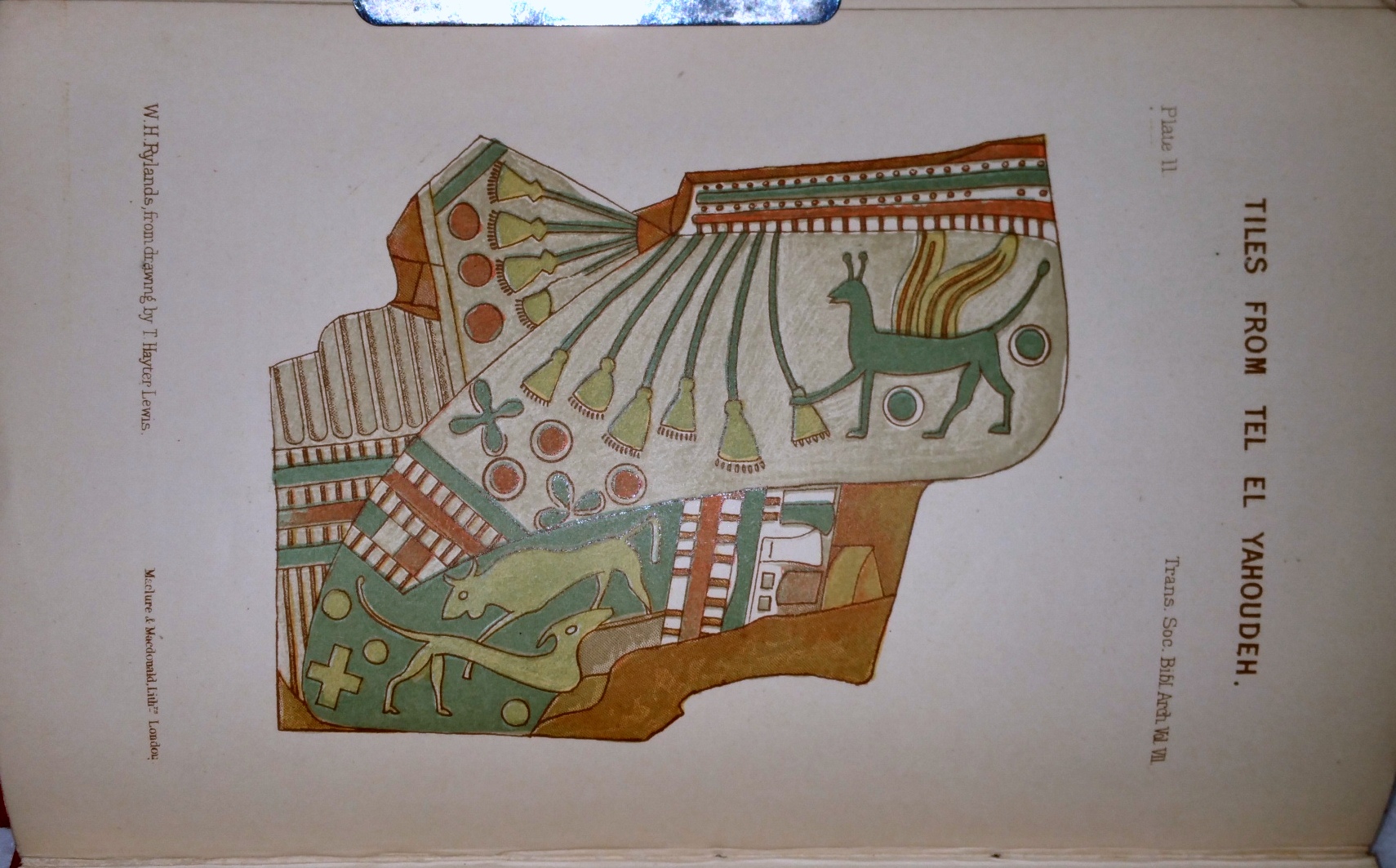 Image for Tel-El-Yahoudeh. (The Mound of the Jew)