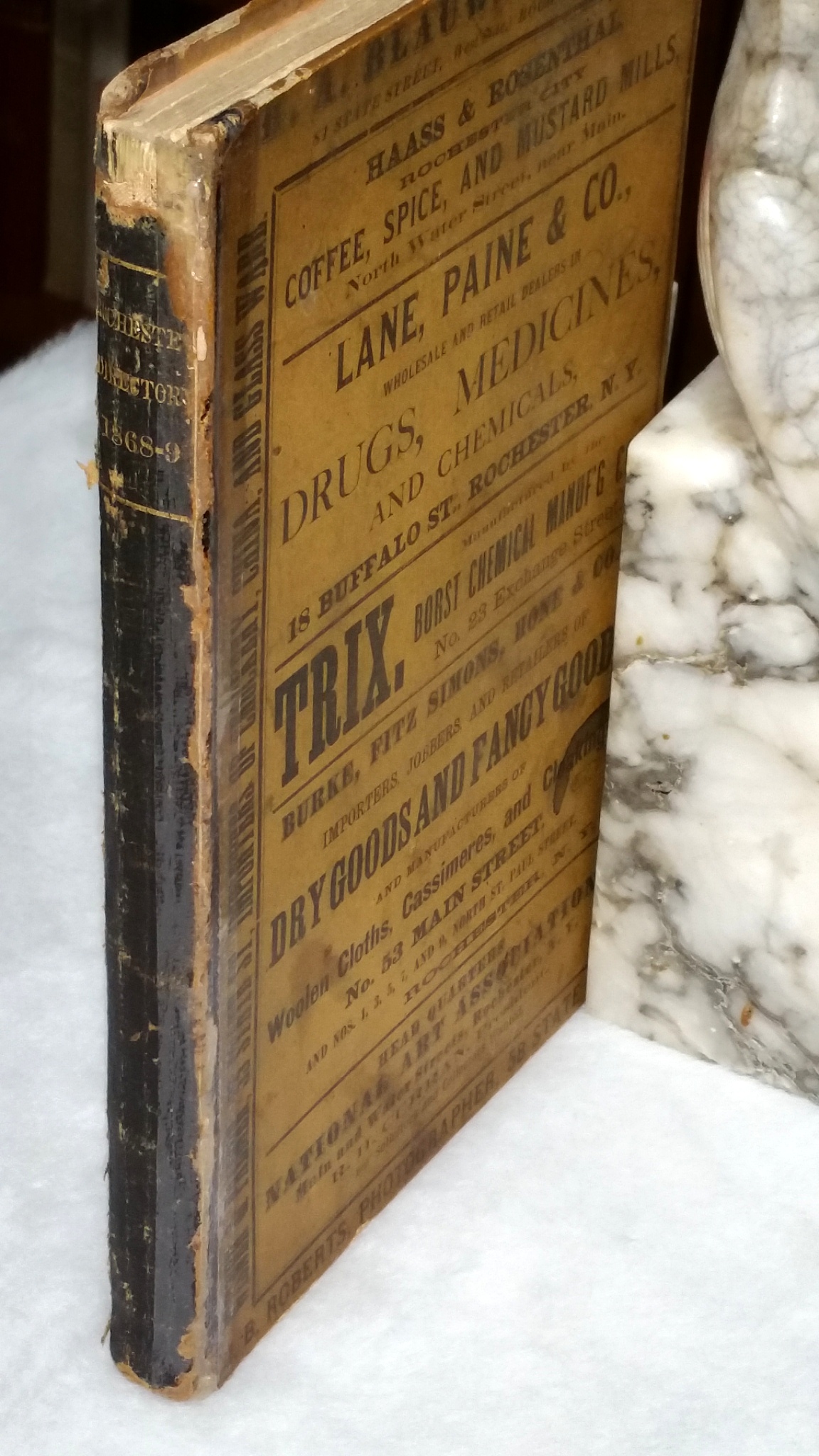 Image for The Rochester Directory, Containing a General Directory Of the Citizens, a Business Directory, and a Record of the City Government, Its Institutions, &c. For 1868