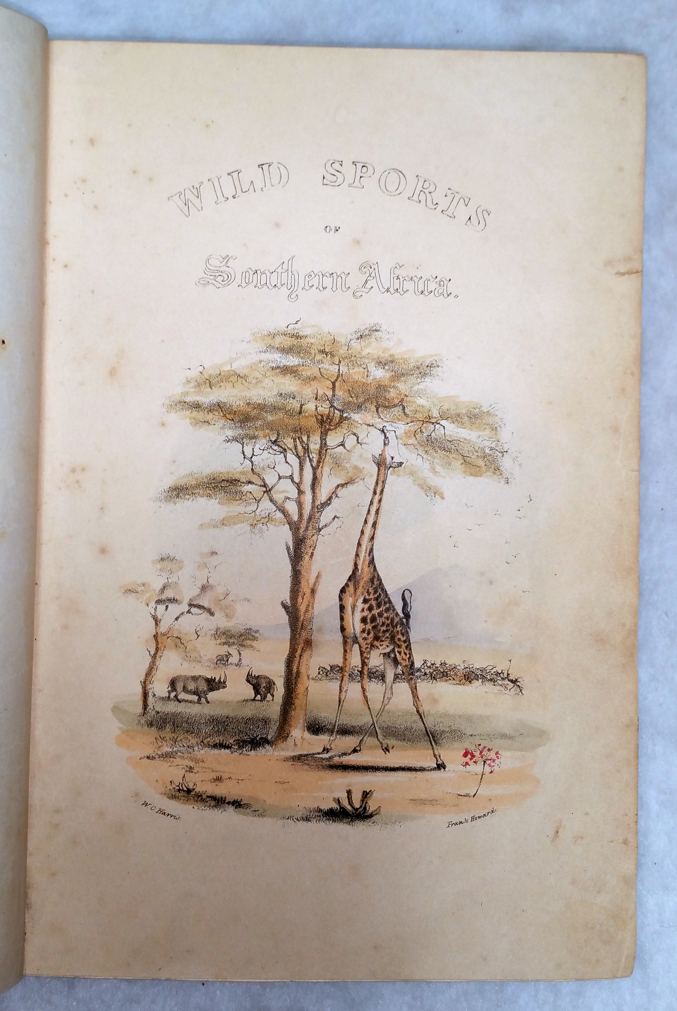 Image for The Wild Sports of Southern Africa; Being The Narrative of an Expedition from the Cape of Good Hope Through the Territories of the Chief Moselekatse to the Tropic of Capricorn