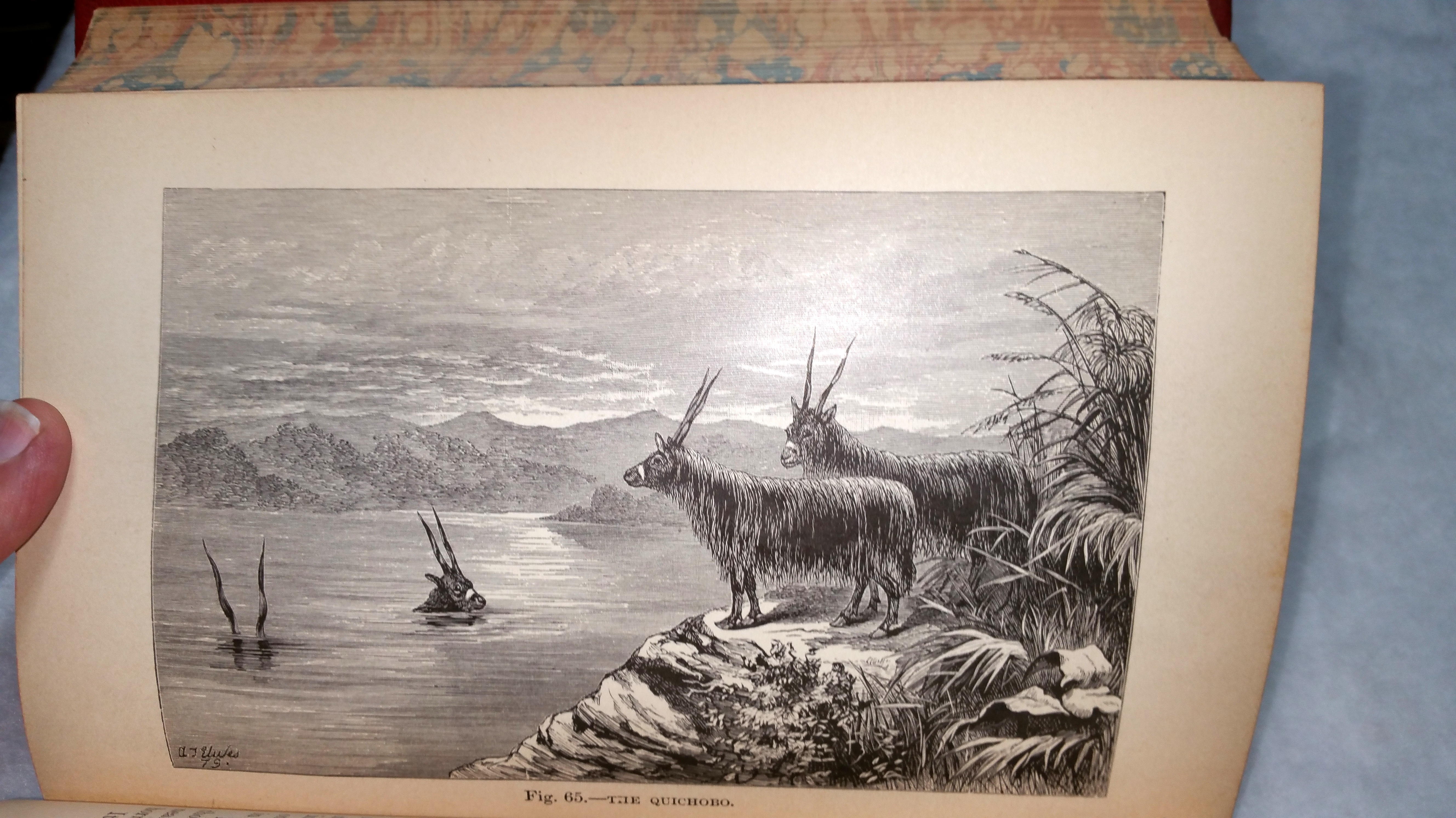 Image for How I Crossed Africa:  From the Atlantic to the Indian Ocean, Through Unknown Countries; Discovery of the Great Zambesi Affluents, &c. (Two Volumes)