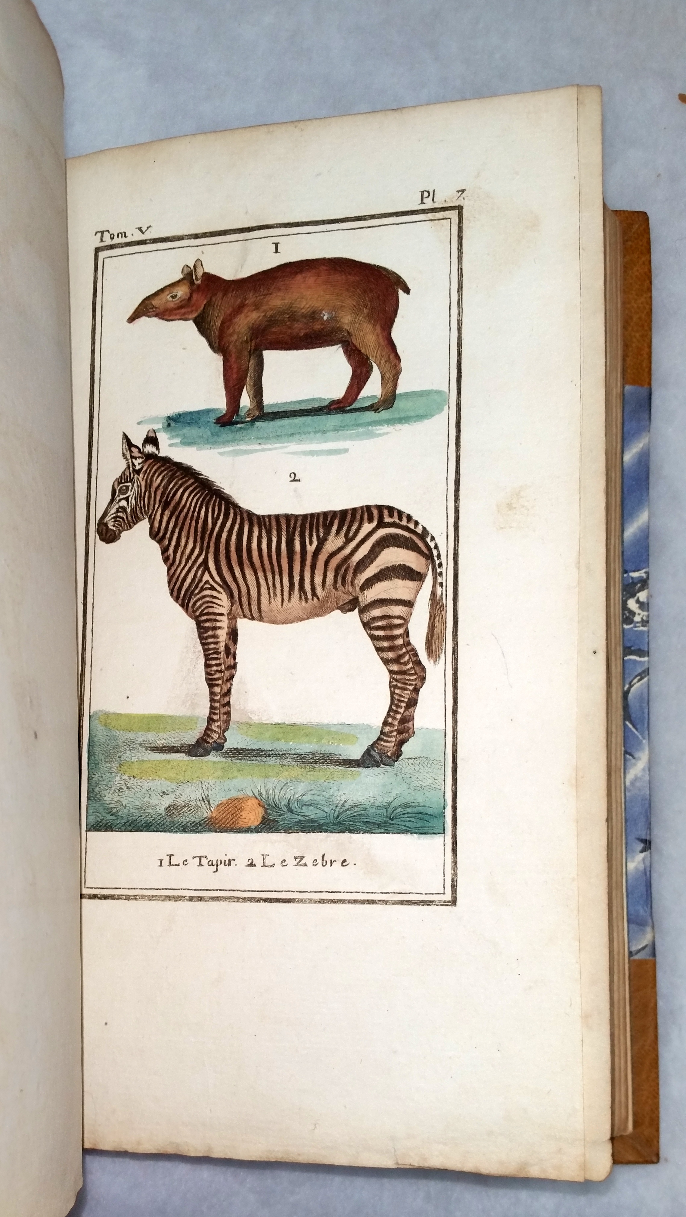 Image for Planches Pour L'Abrege D'Histoire Naturelle.  Tome I:  Quadrupedes, Premiere Partie
