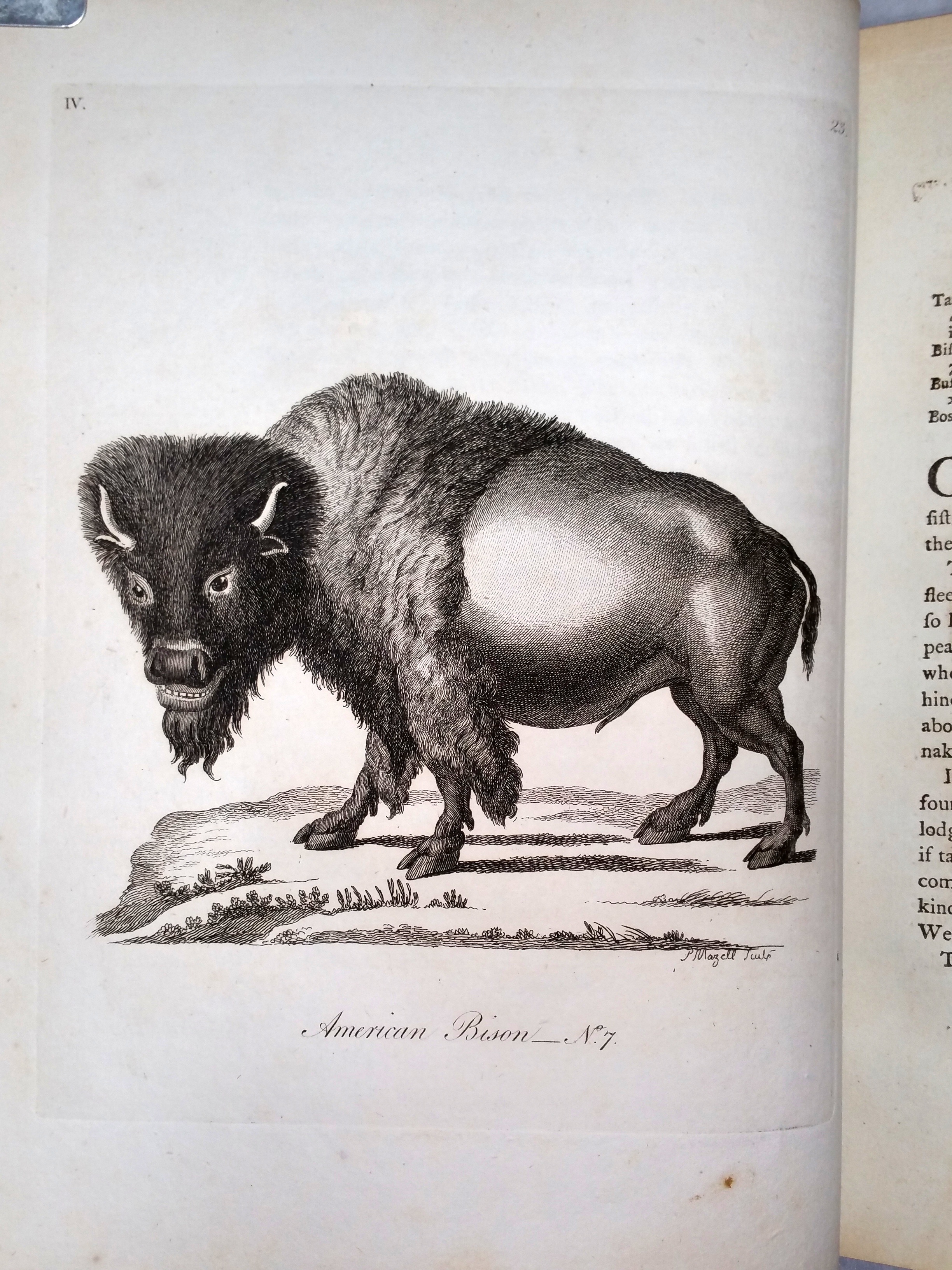 Image for History of Quadrupeds (Two Volumes) History of Quadrupeds (Two Volumes)