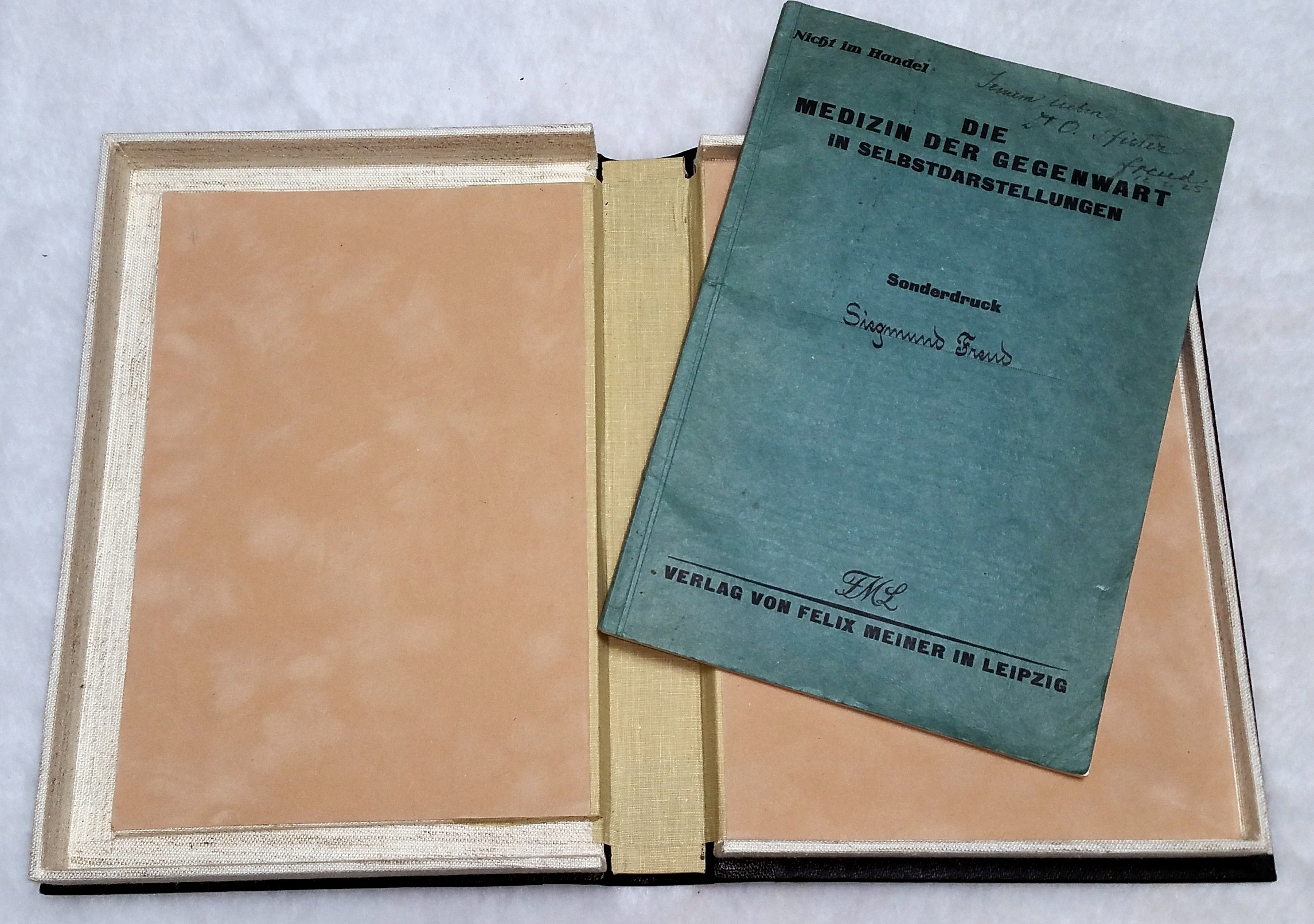 Image for Sonderdruck Sigmund Freud [offprint from L. R. Grotes' "Die Medizin Der Gegenwart in Selbstdarstellungen")