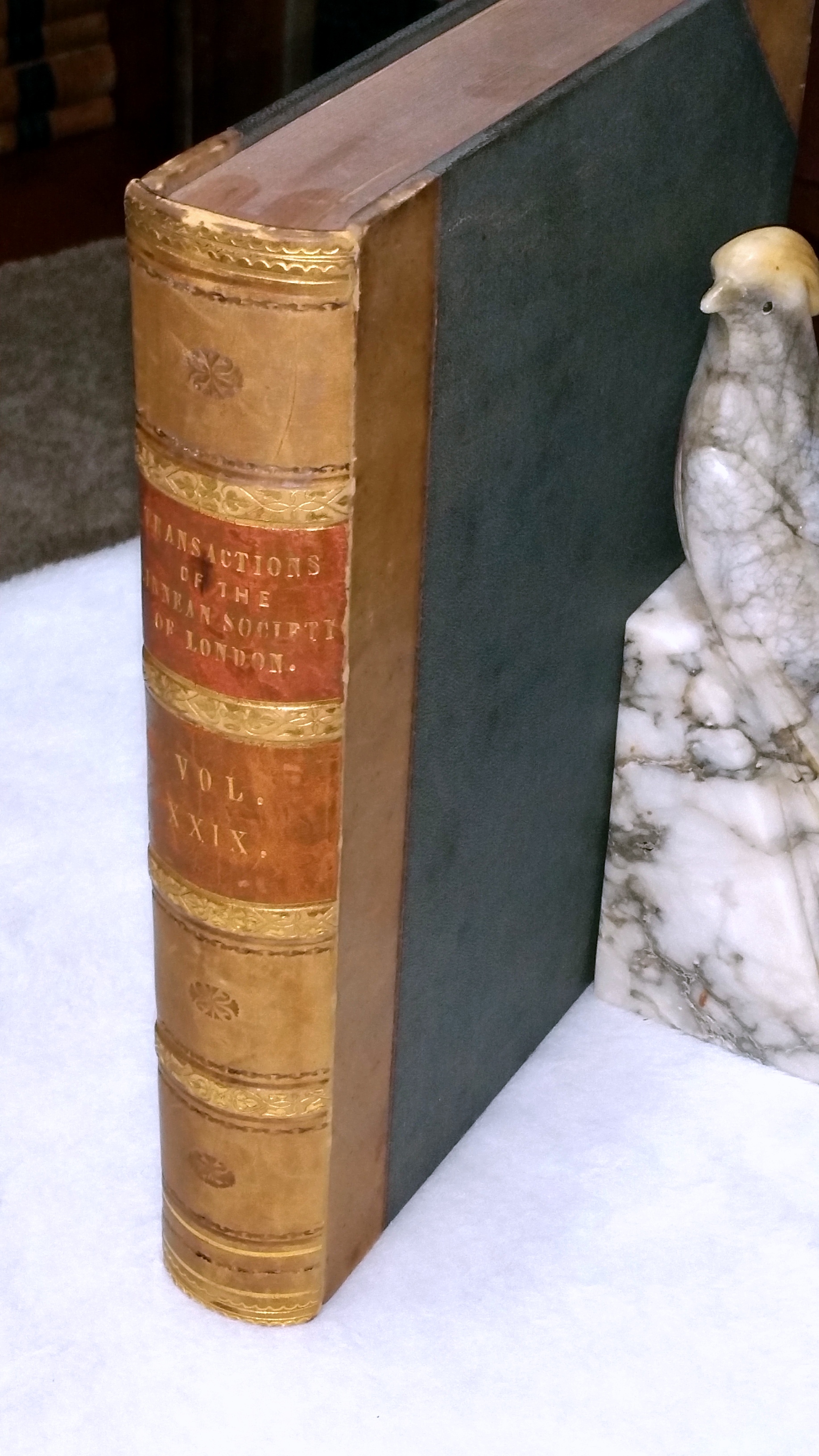 Image for The Botany of the Speke and Grant Expedition [The Transactions of the Linnean Society of London, Volume XXIX]