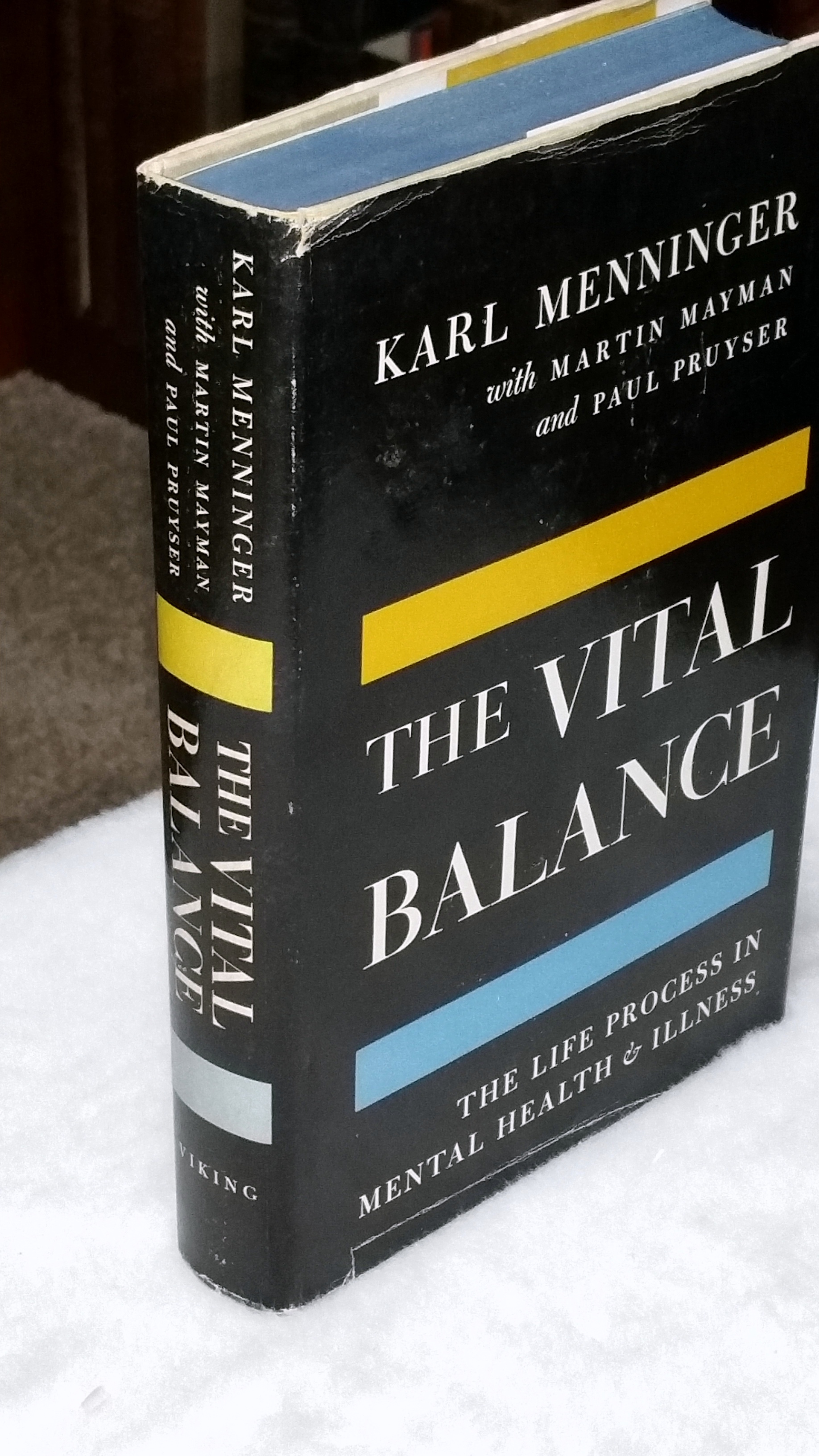 Image for The Vital Balance: The Life Process in Mental Health and Illness