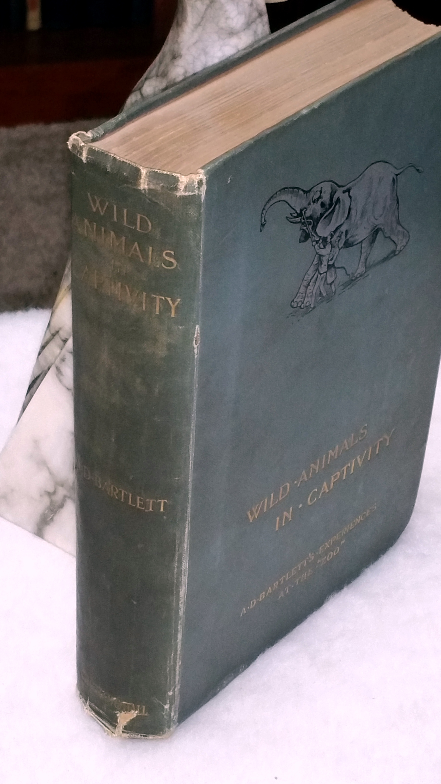 Image for Wild Animals In Captivity: Being an Account of the Habits, Food, Management and Treatment of the Beasts and Birds at the Zoo, with Reminiscences and Anecdotes