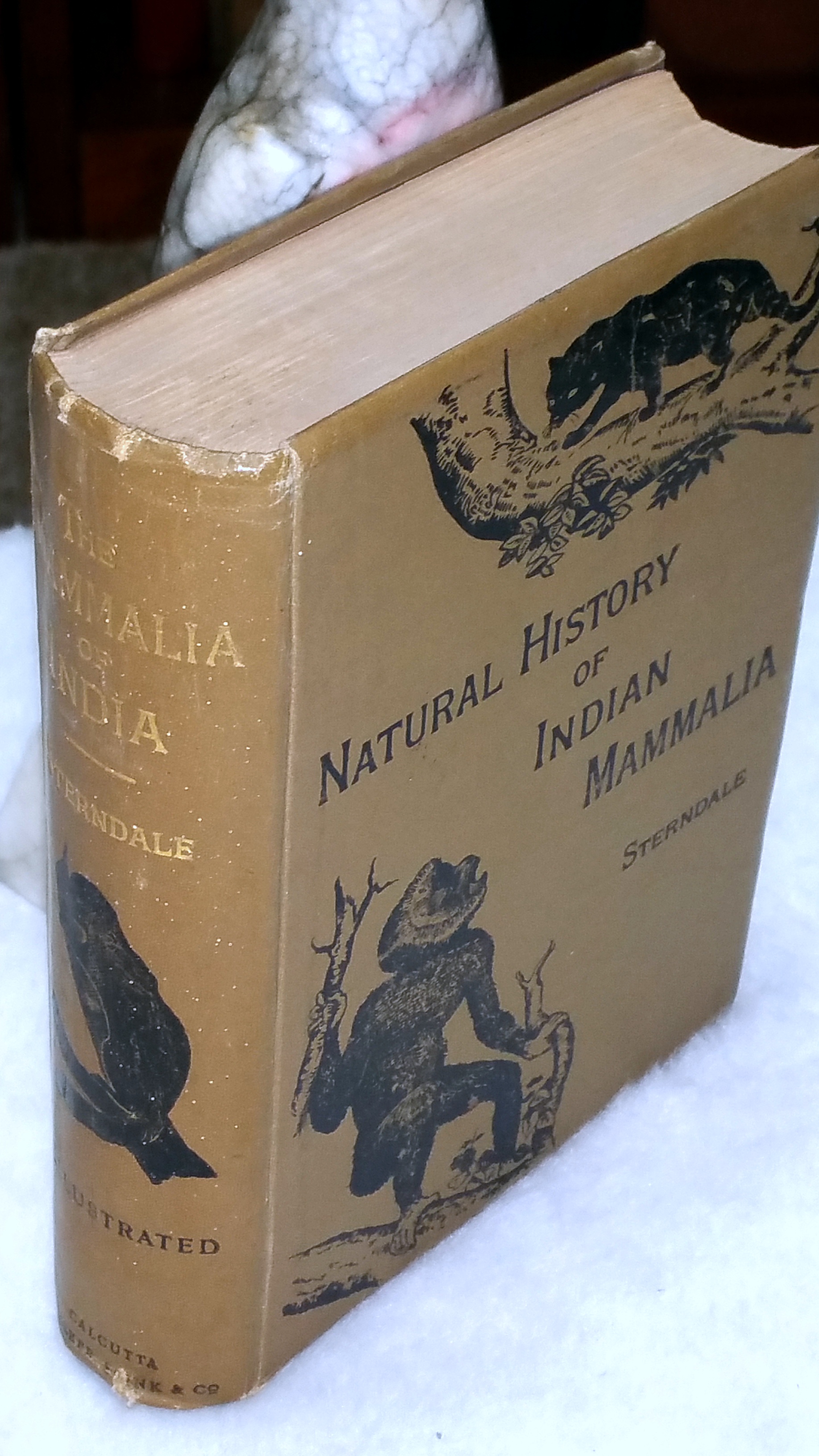 Image for Natural History of the Mammalia of India and Ceylon