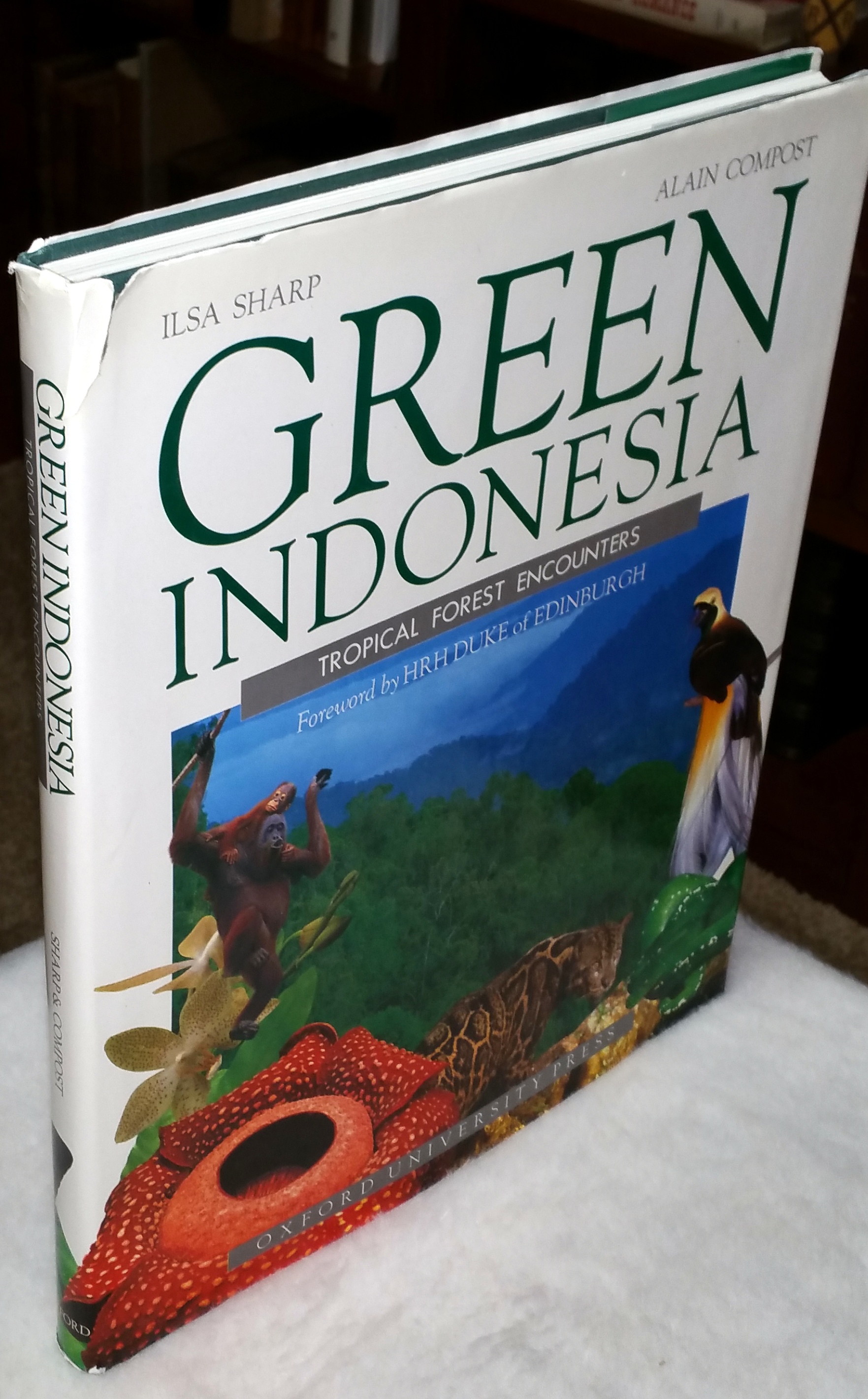 Image for Green Indonesia: Tropical Forest Encounters