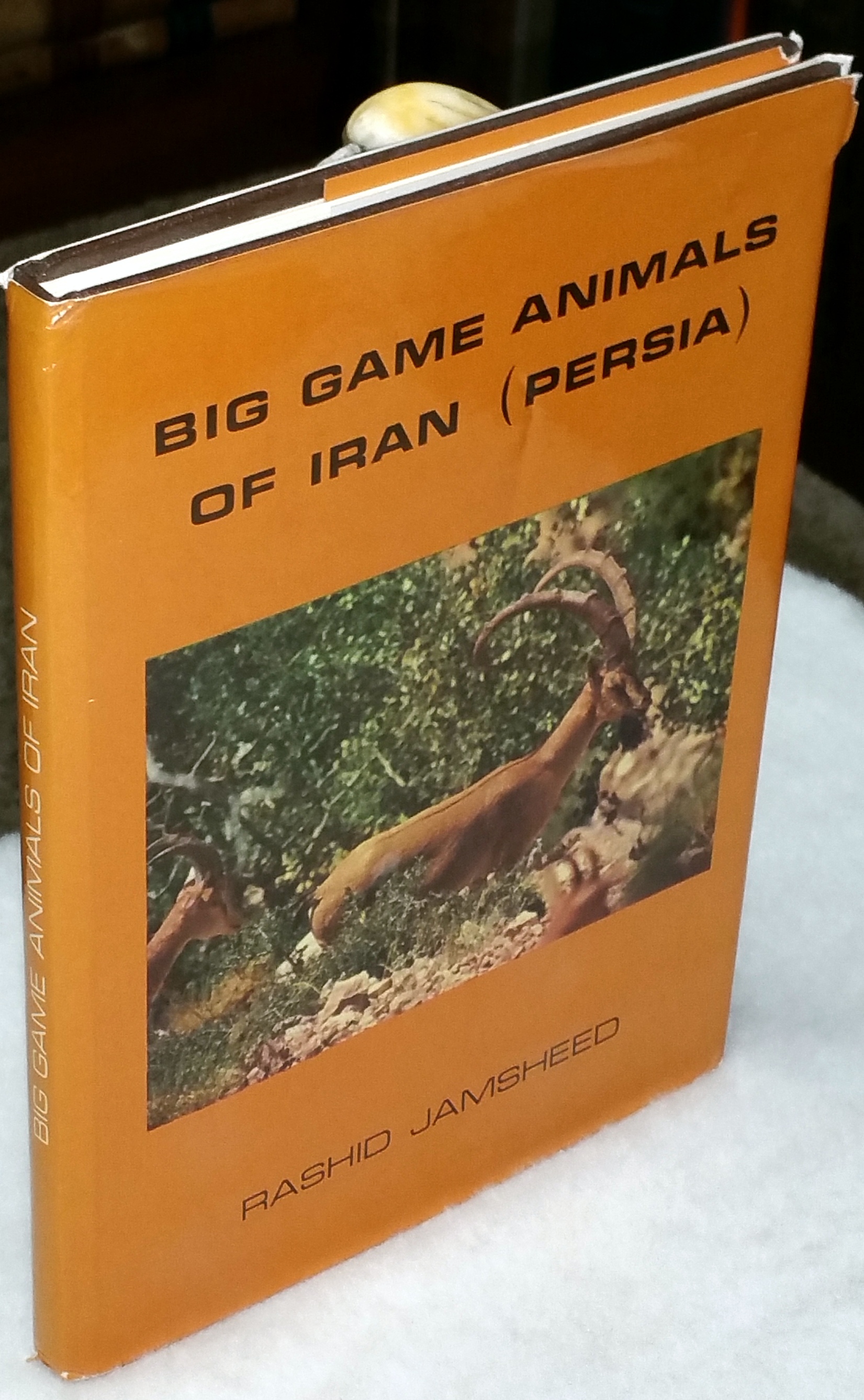 Image for Big Game Animals of Iran (Persia)