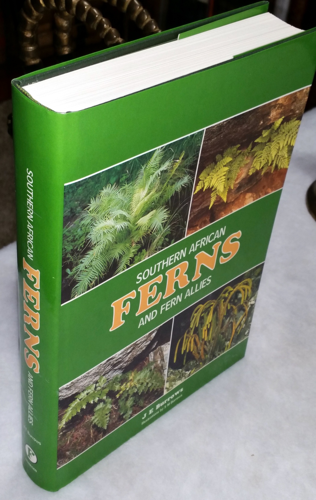 Image for Southern African Ferns and Fern Allies