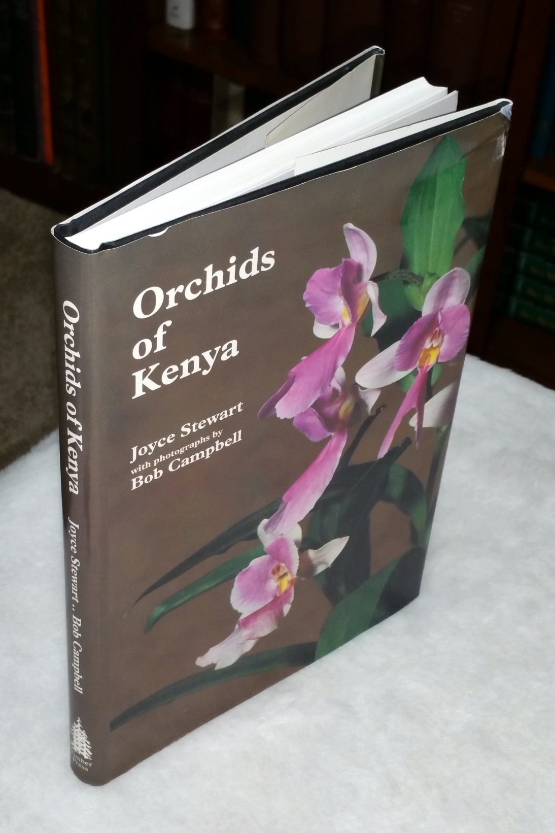 Image for Orchids of Kenya