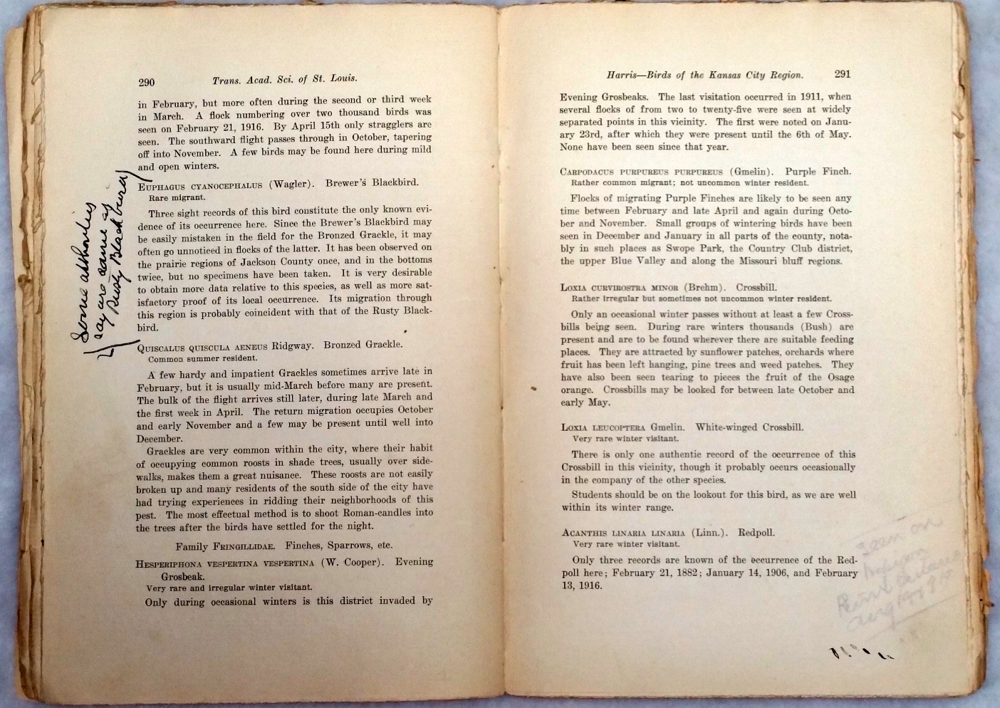 Image for Birds of the Kansas City Region (Transactions of the Academy of Science of St. Louis, Vol. XXIII, No. 8)