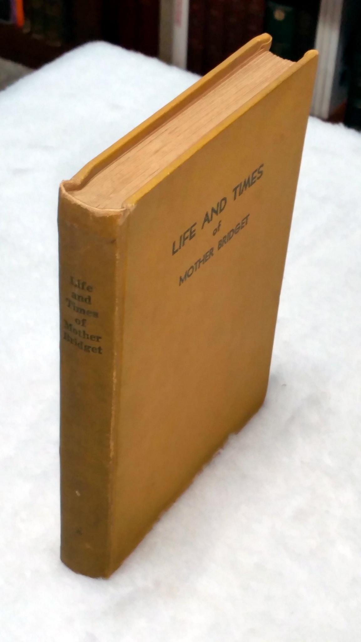 Image for Life and Times of Mother Bridget Hayden