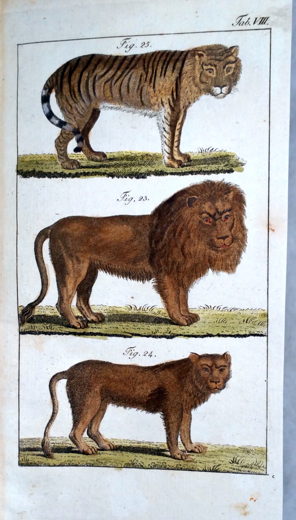 Image for Gemeinnutzige Systematische Naturgeschichte Fur Gebildete Leser Nach Dem Linneischen Natursystem .  Erester Theil: Sangethiere