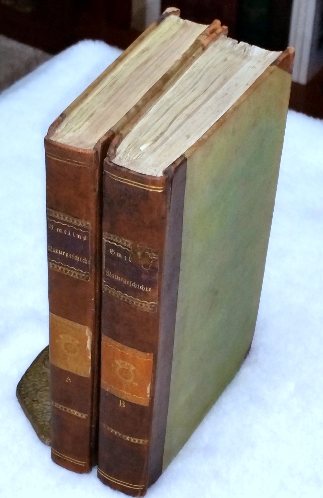 Image for Gemeinnutzige Systematische Naturgeschichte Fur Gebildete Leser Nach Dem Linneischen Natursystem . Zweiter Theil (Parts A and B, in Two Volumes): Vogel