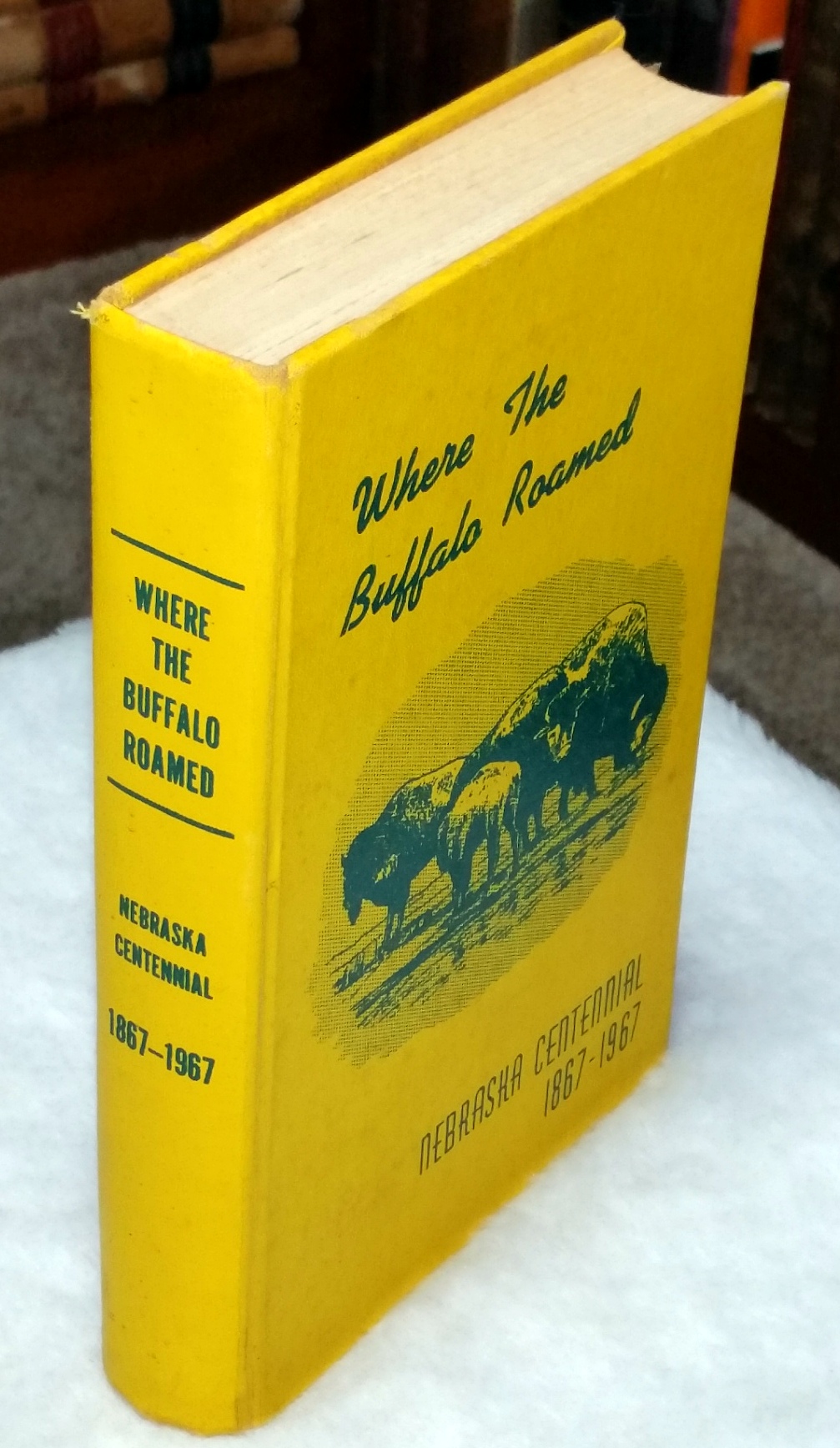 Image for Where the Buffalo Roamed: Stories of Early Days in Buffalo County, Nebraska