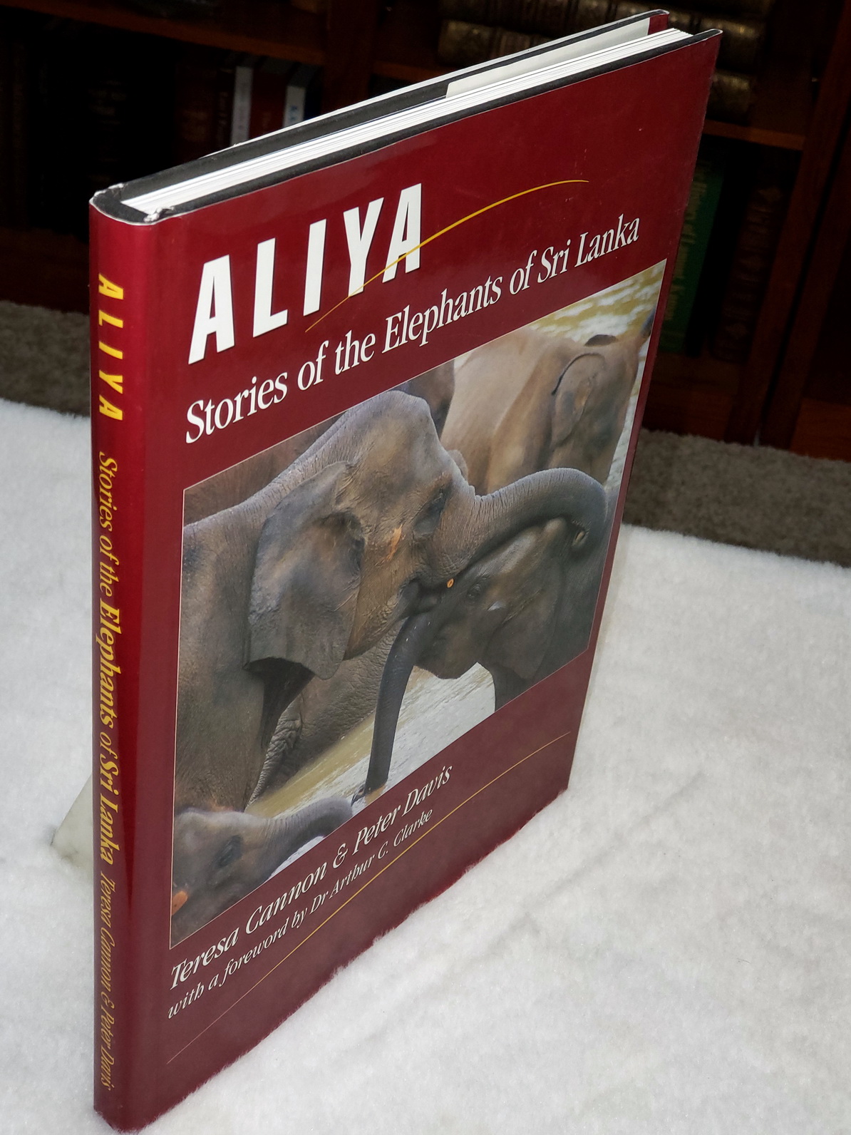 Image for Aliya:  Stories of the Elephants of Sri Lanka