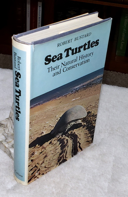 Image for Sea Turtles:  Natural History and Conservation