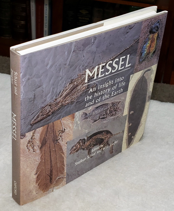 Image for Messel: An Insight Into the History of Life and of the Earth
