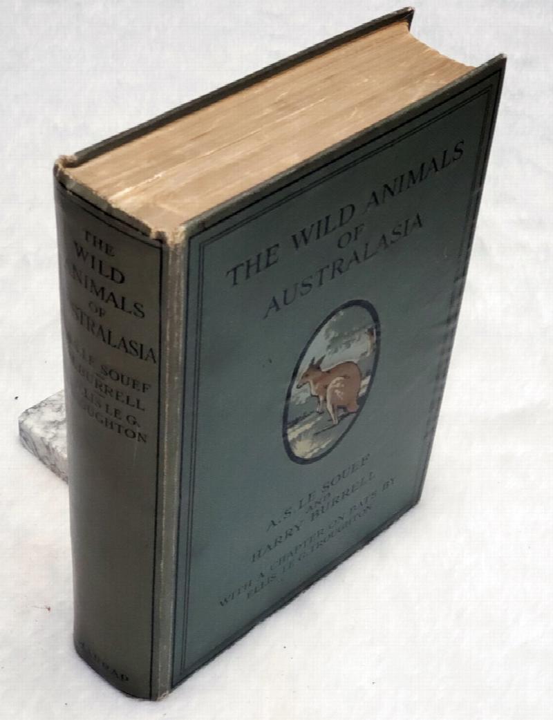 Image for The Wild Animals of Australasia Embracing the Mammals of New Guinea & the Nearer Pacific Islands