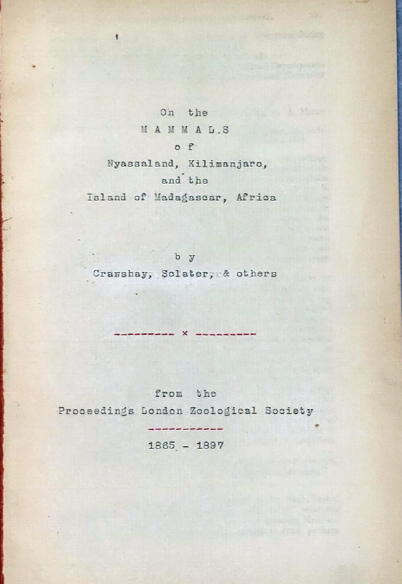 Image for On the Mammals of Nyasaaland, Kilimanjaro, and the Island of Madagascar, Africa