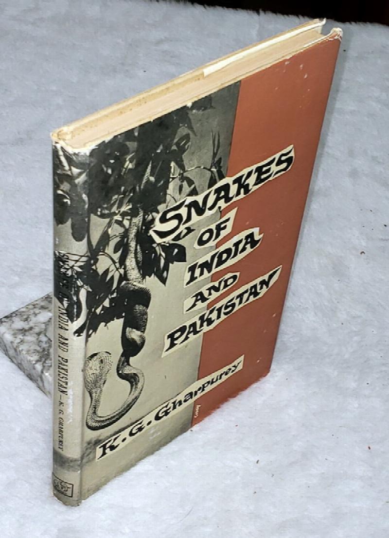 Image for Snakes of India and Pakistan