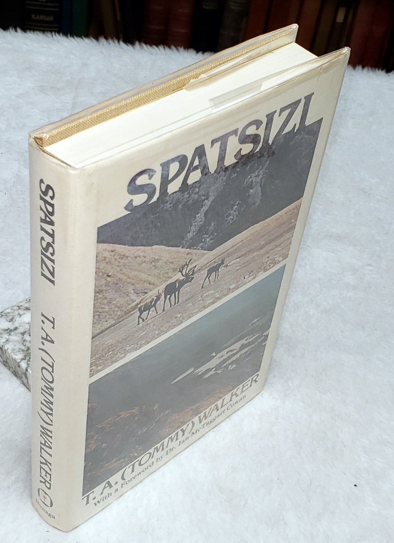 Spatsizi