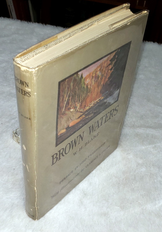 Brown Waters