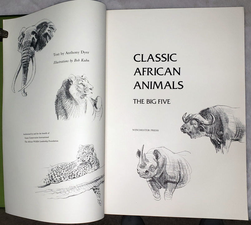 Classic African Animals: The Big Five